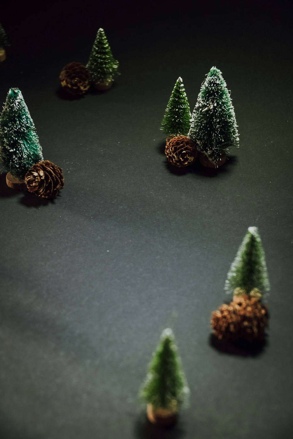 a group of small trees