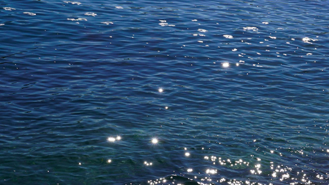 4-Day Yeosu Budget Itinerary: Backpacking South Korea