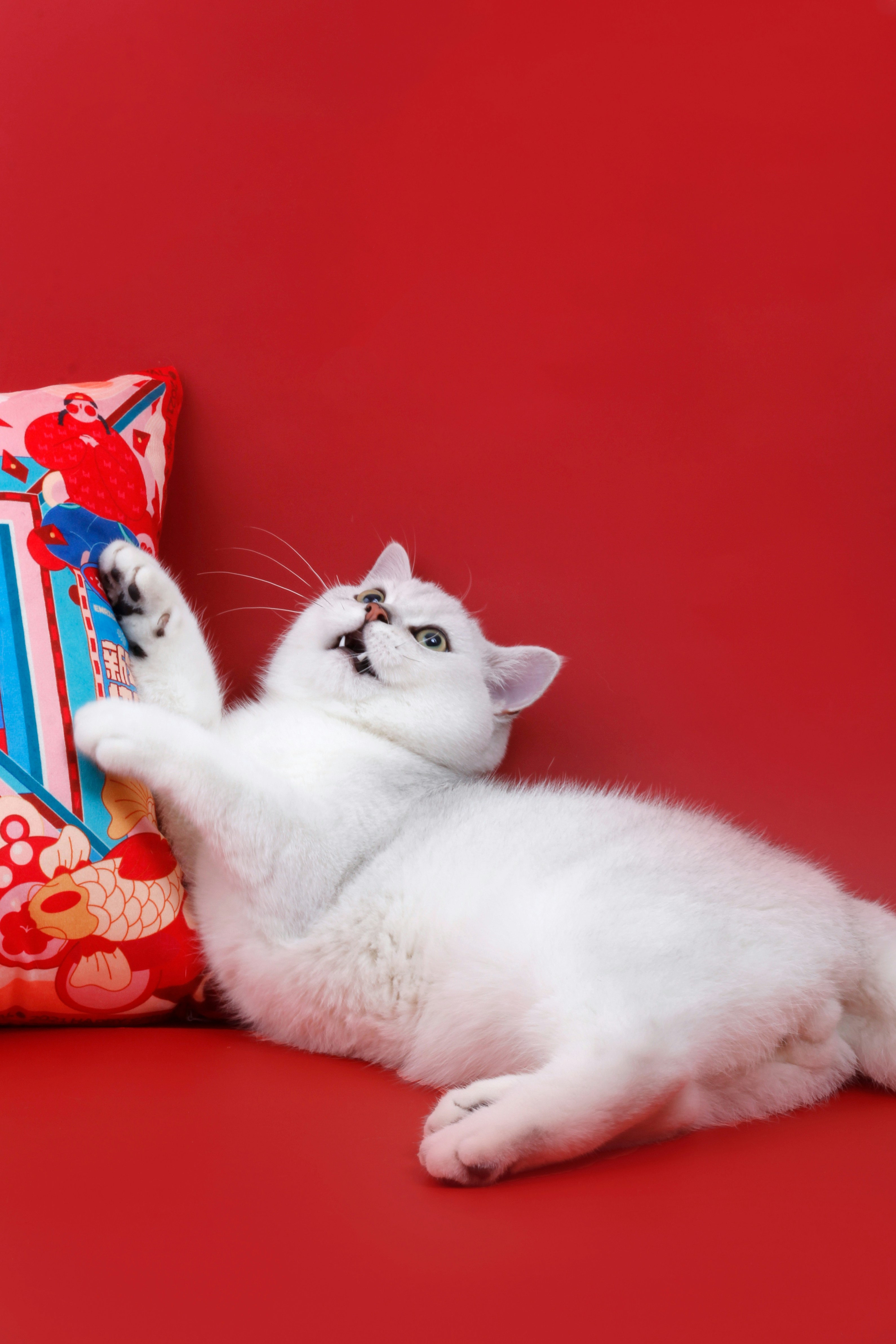 Unexpected Humor (image credits: unsplash)