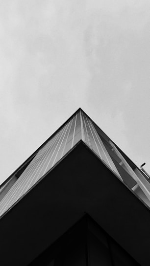 a building with a black roof