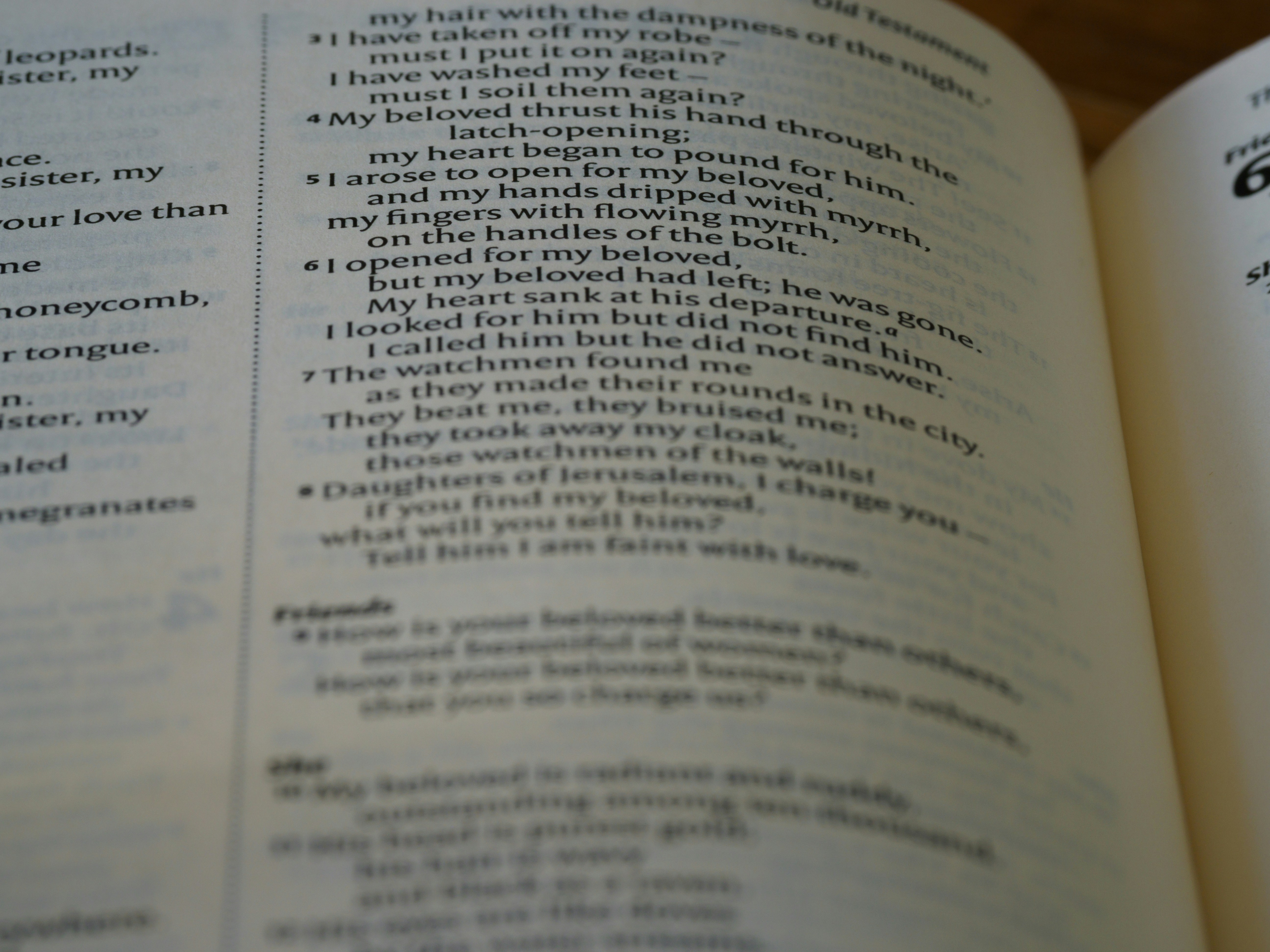 Photo by brett_jordan