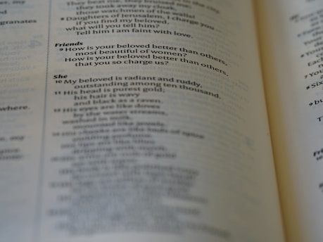 A close-up photo of a high-quality printed book with sharp text and vibrant images.