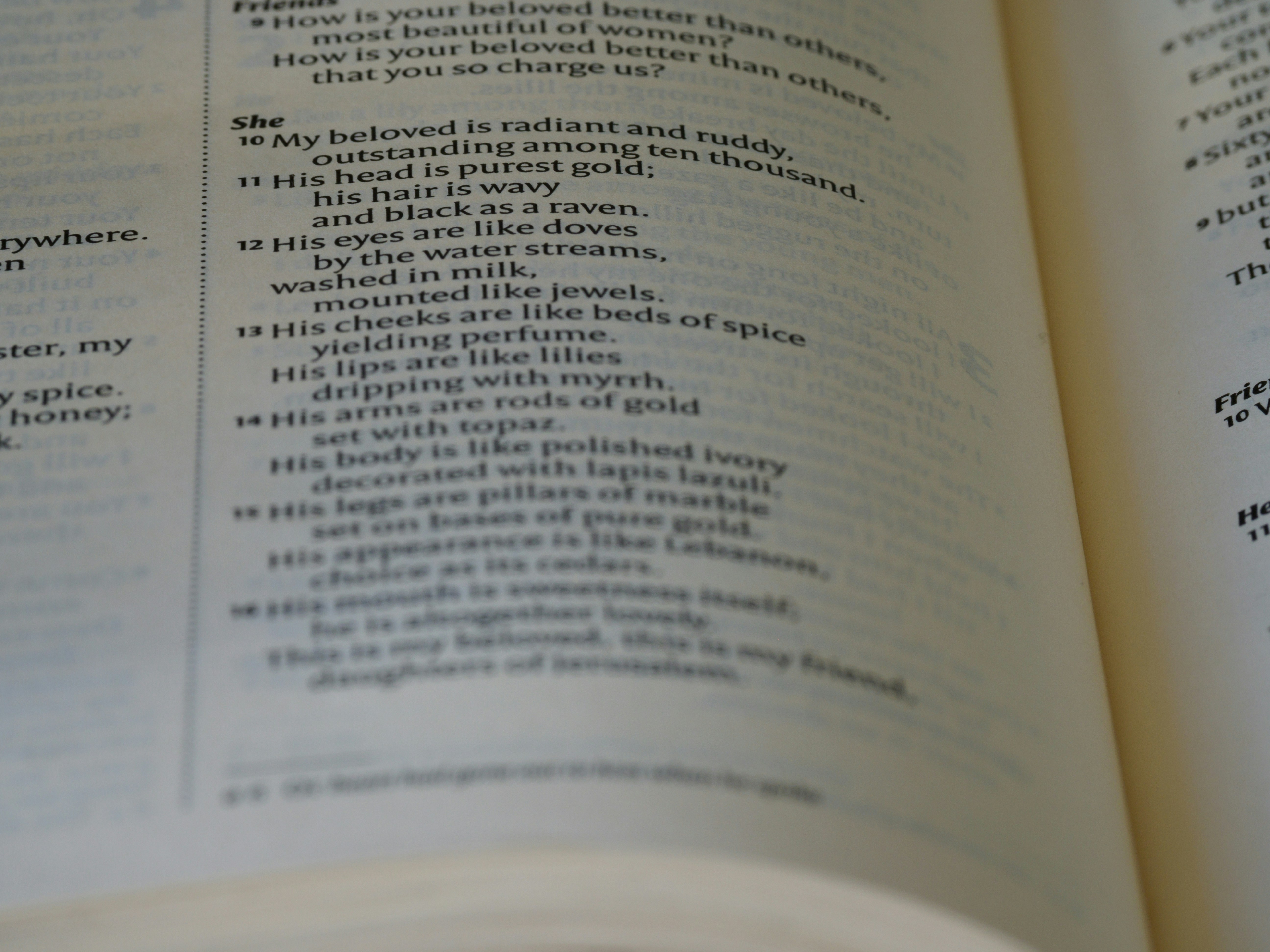 Photo by brett_jordan