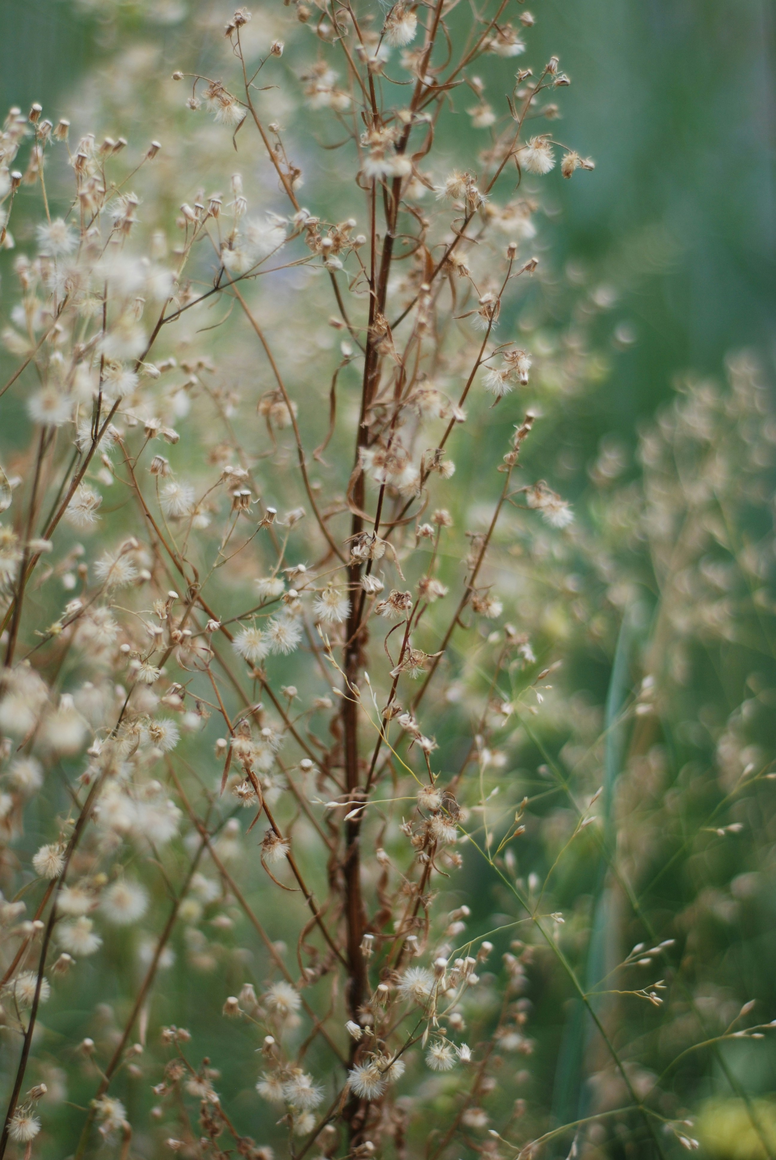 Photo by kovalskihelga