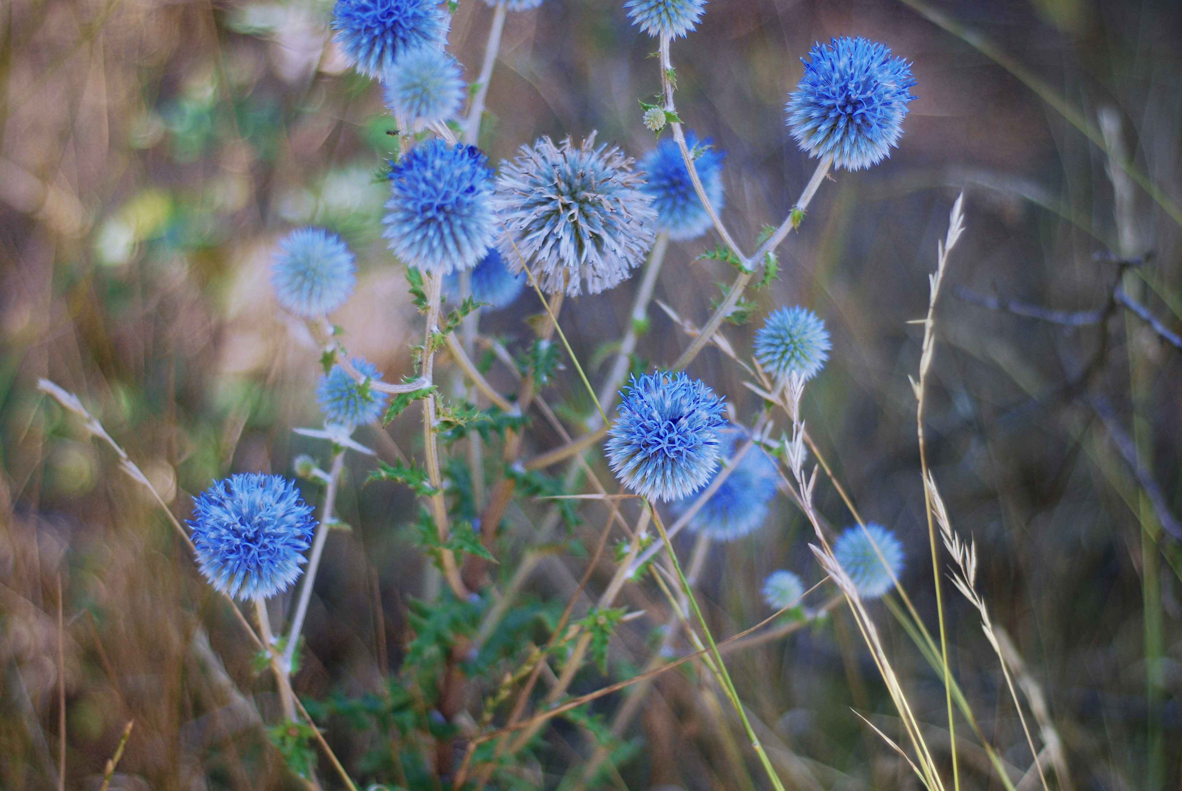 Photo by kovalskihelga