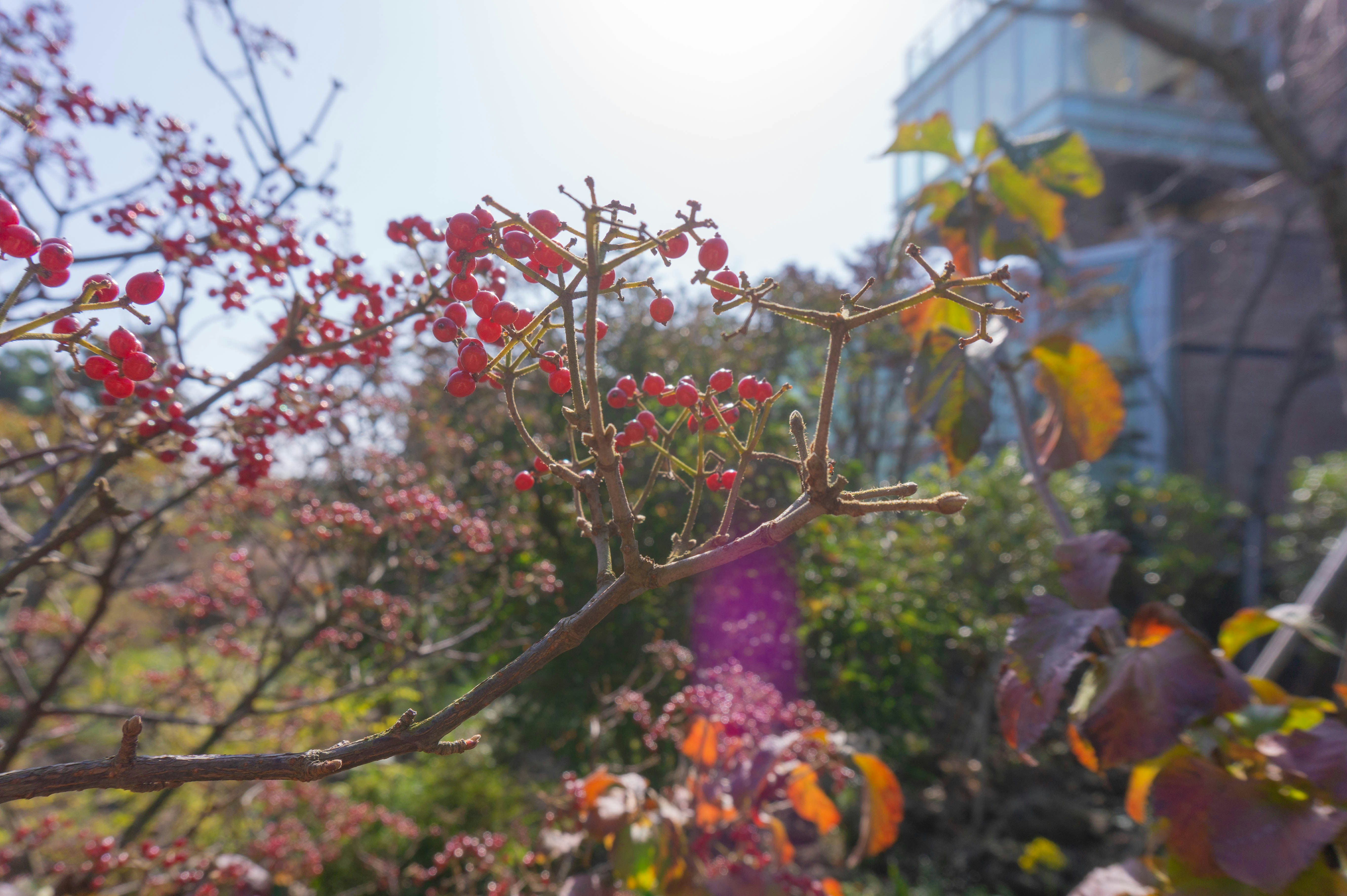 Jeju Island 3