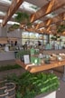 A modern store interior featuring a variety of green products displayed on wooden tables. The space is adorned with hanging plants and large windows that allow natural light to flood in, creating a warm and inviting atmosphere. The ceiling has wooden beams with skylights. Customers and staff are visible, engaged in transactions.