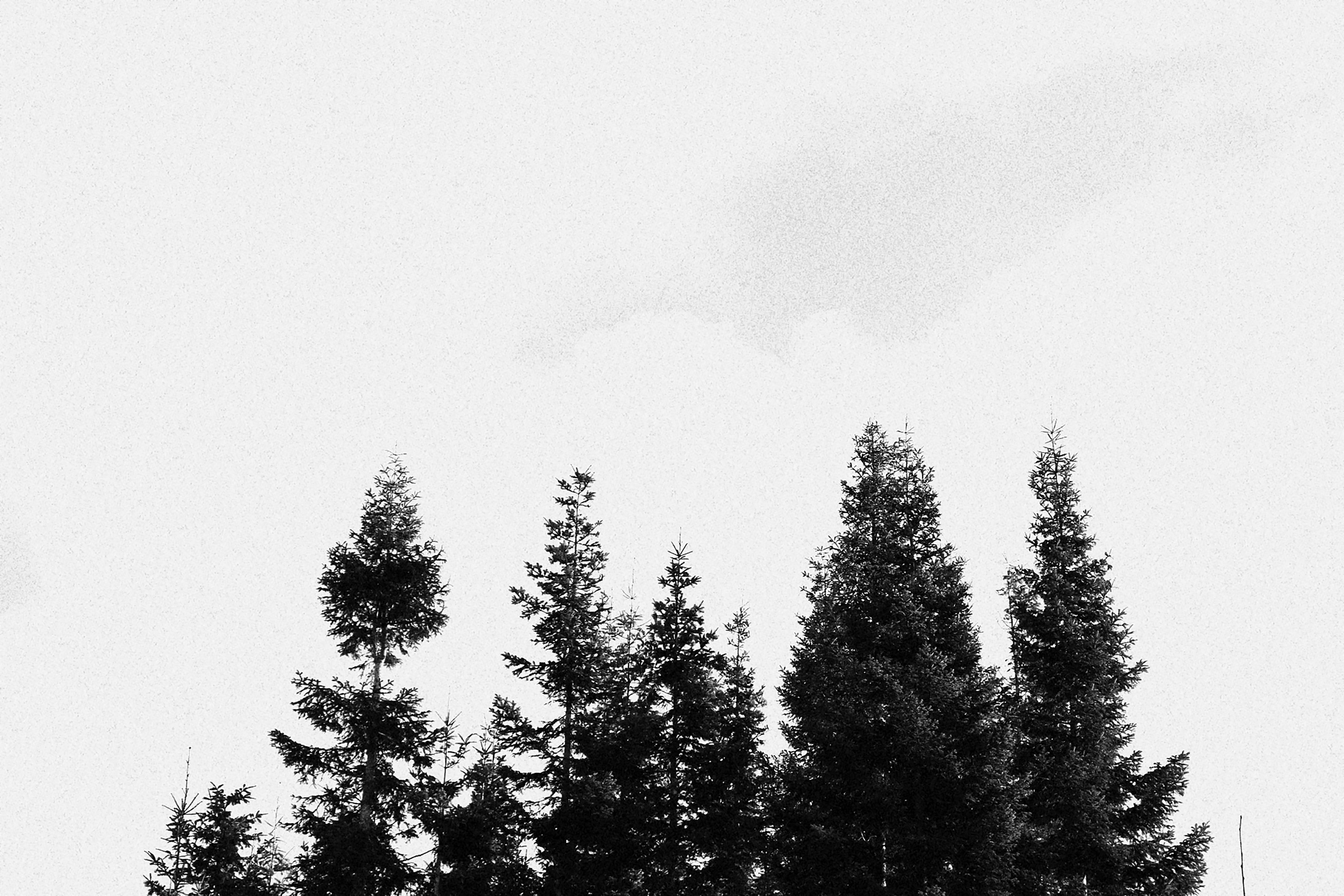 Photo by cameraman_crouton