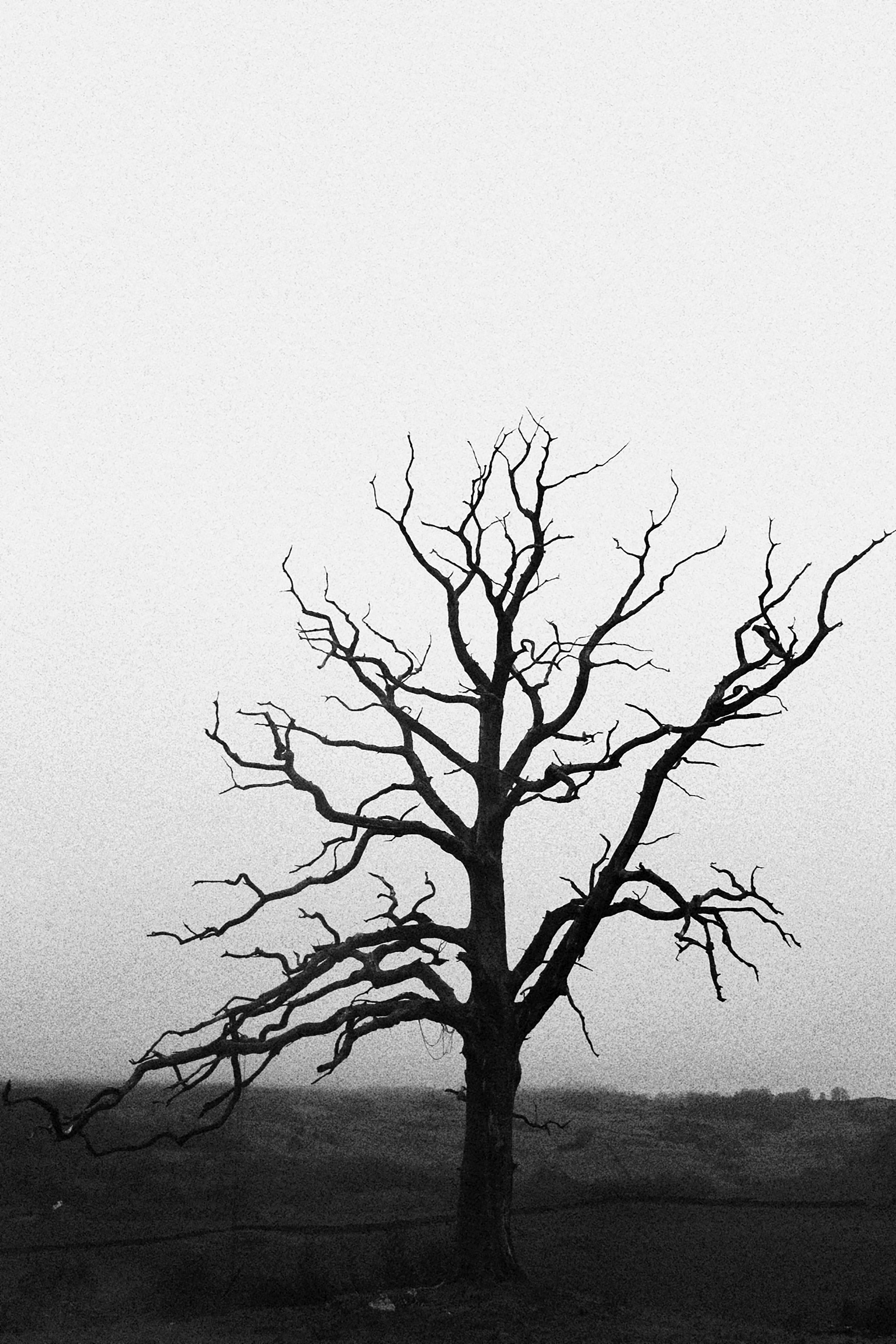 Photo by cameraman_crouton