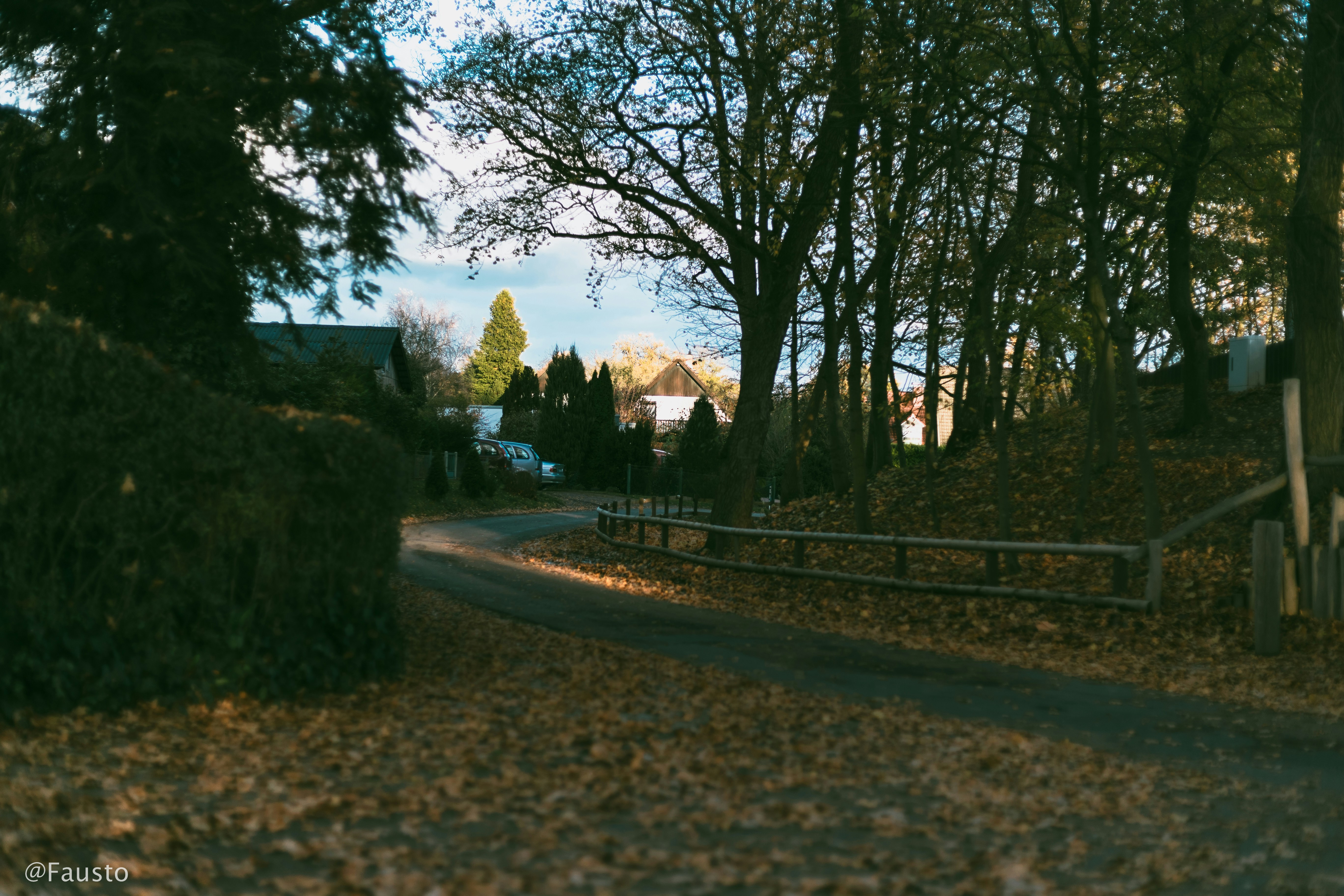 a fenced in yard with trees and a house in the background