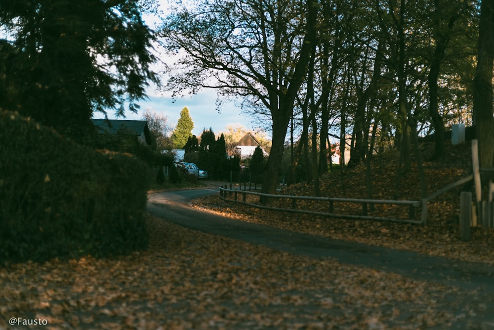 a fenced in yard with trees and a house in the background