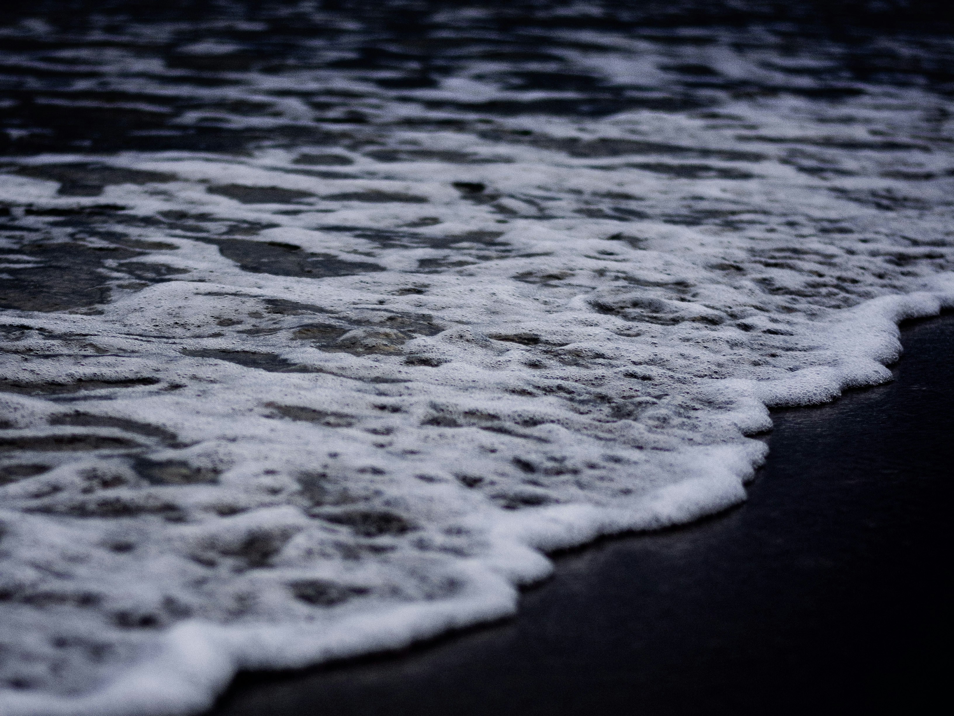 Photo by colemangloverphotography