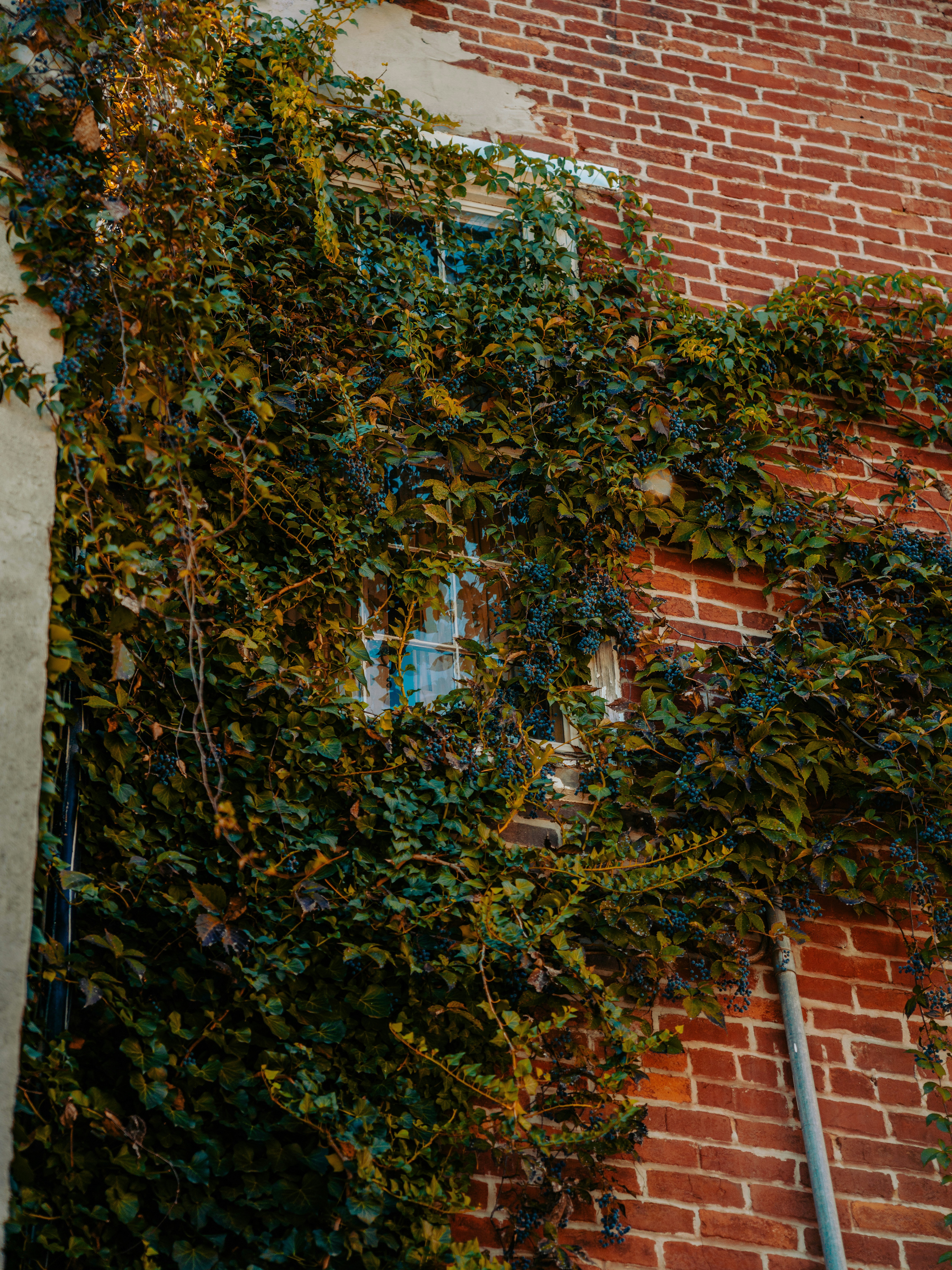 Photo by colemangloverphotography