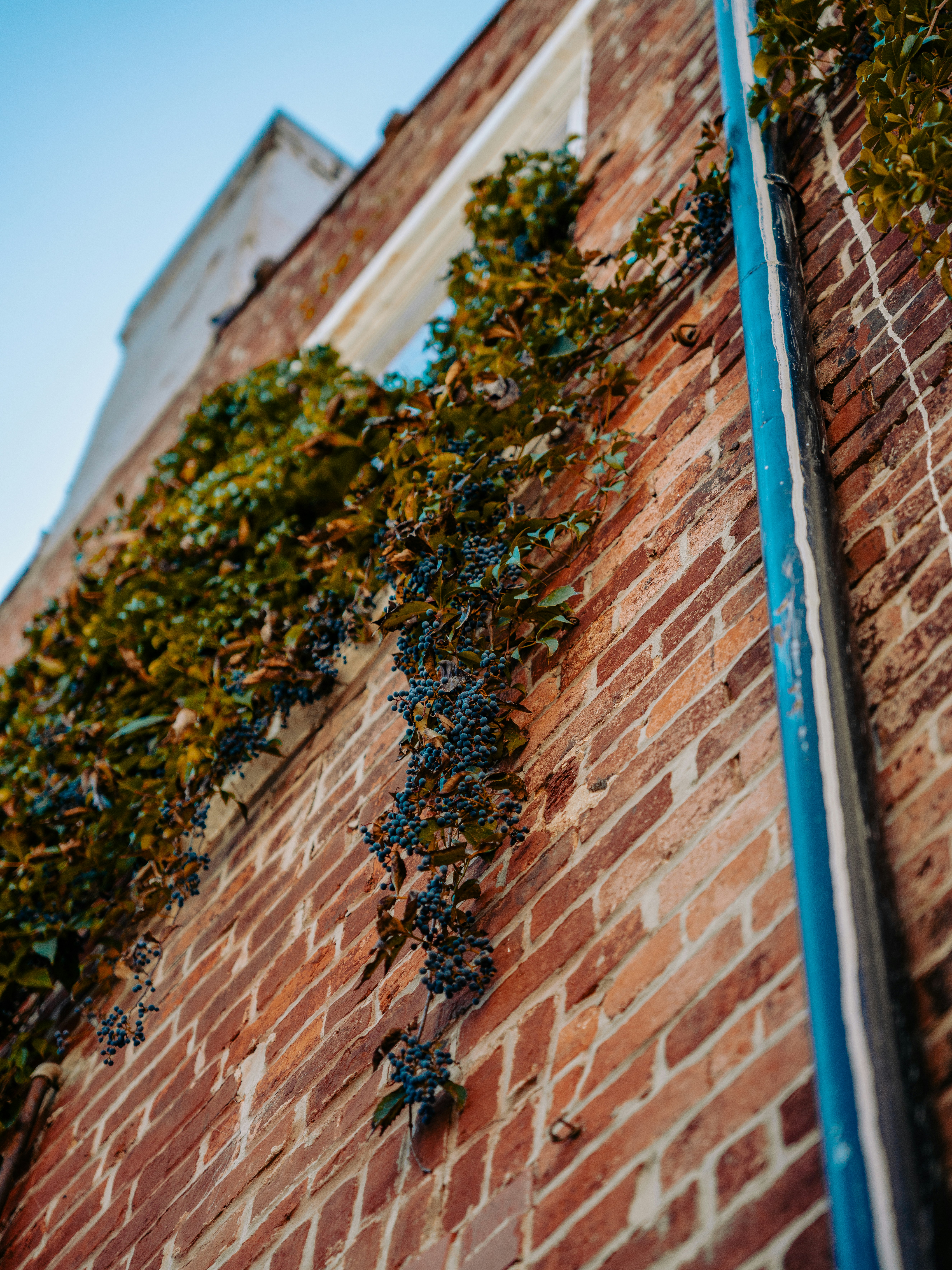 Photo by colemangloverphotography