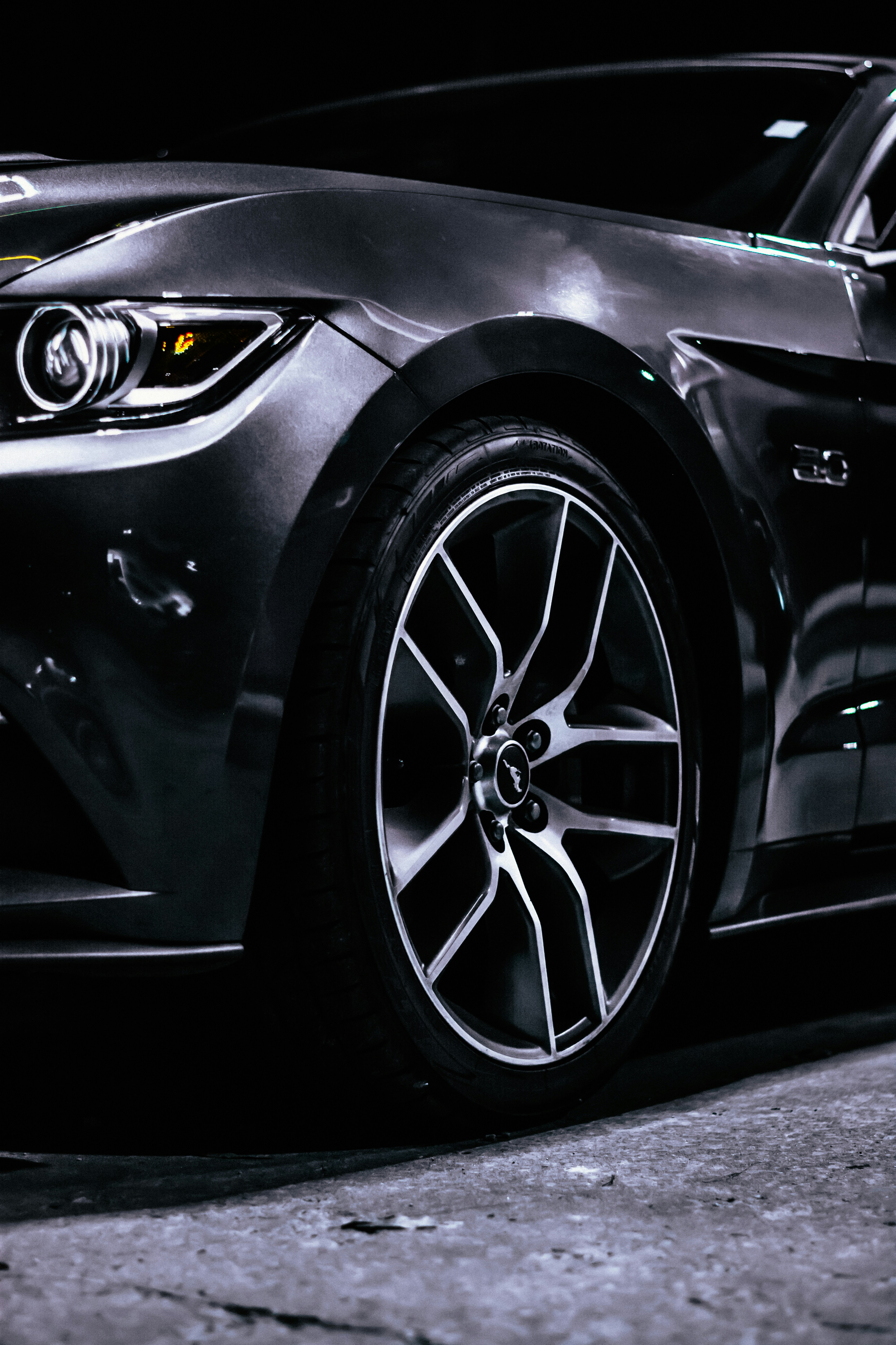 Photo by colemangloverphotography