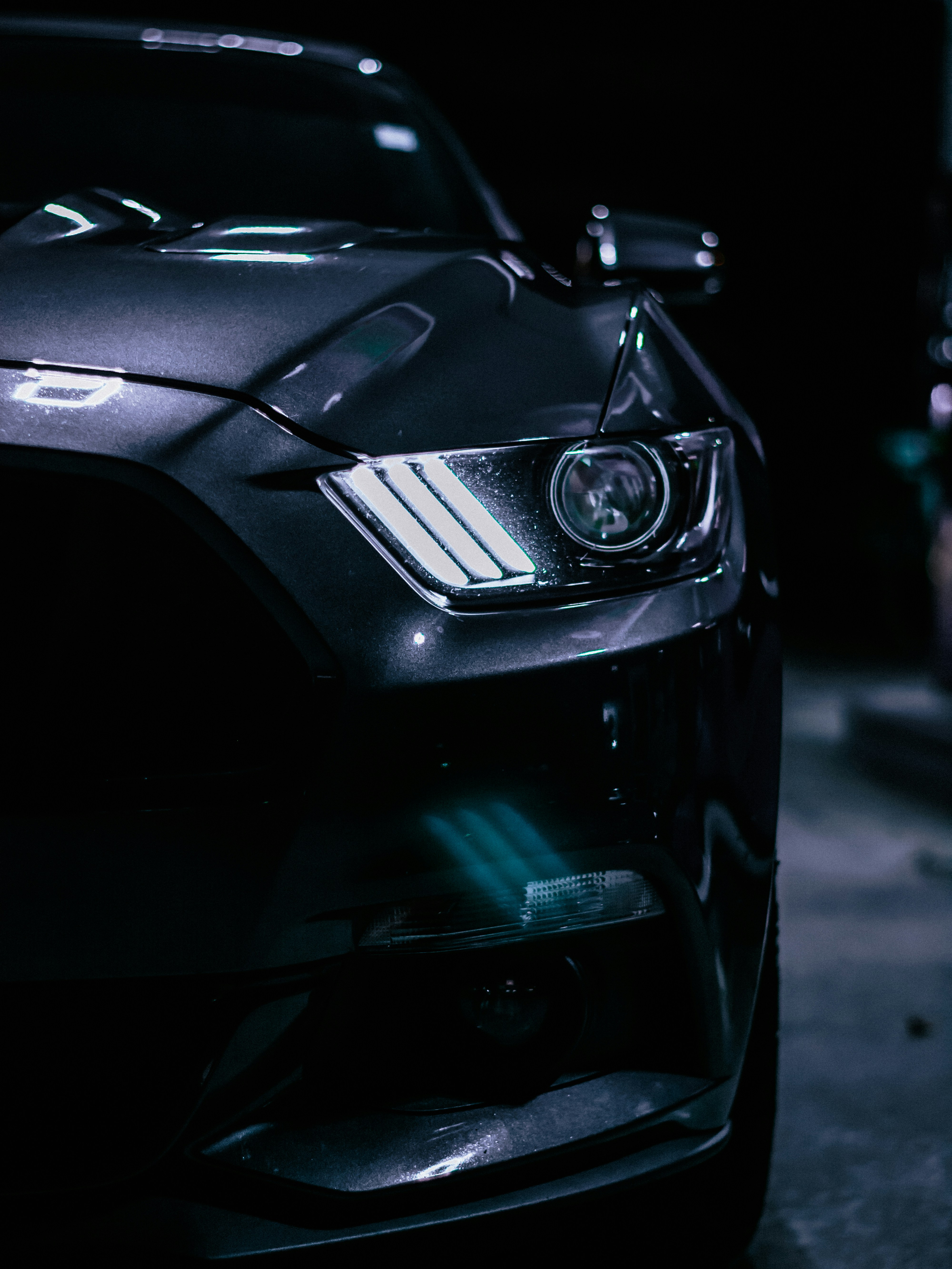 Photo by colemangloverphotography