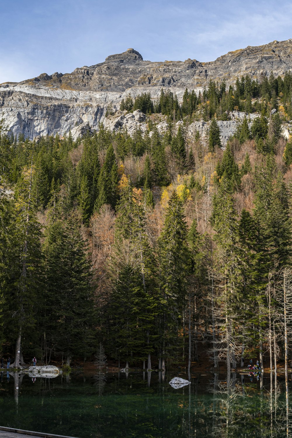 a lake with trees and mountains in the background