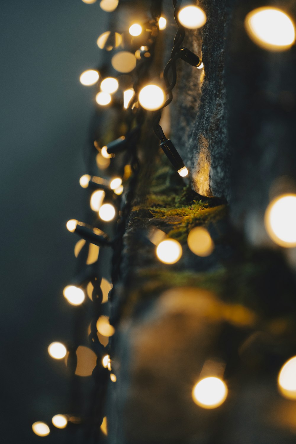 a close-up of a light fixture