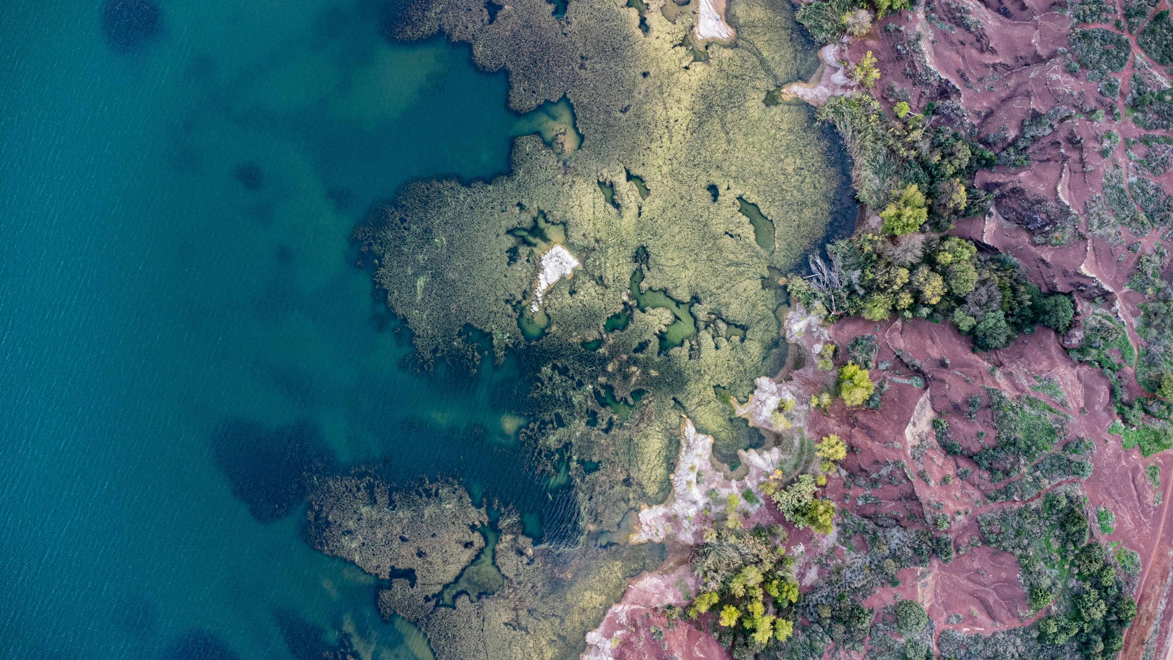 Revolutionizing Agriculture with Drones