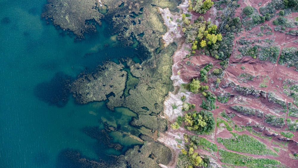 una vista di una spiaggia e dell'oceano