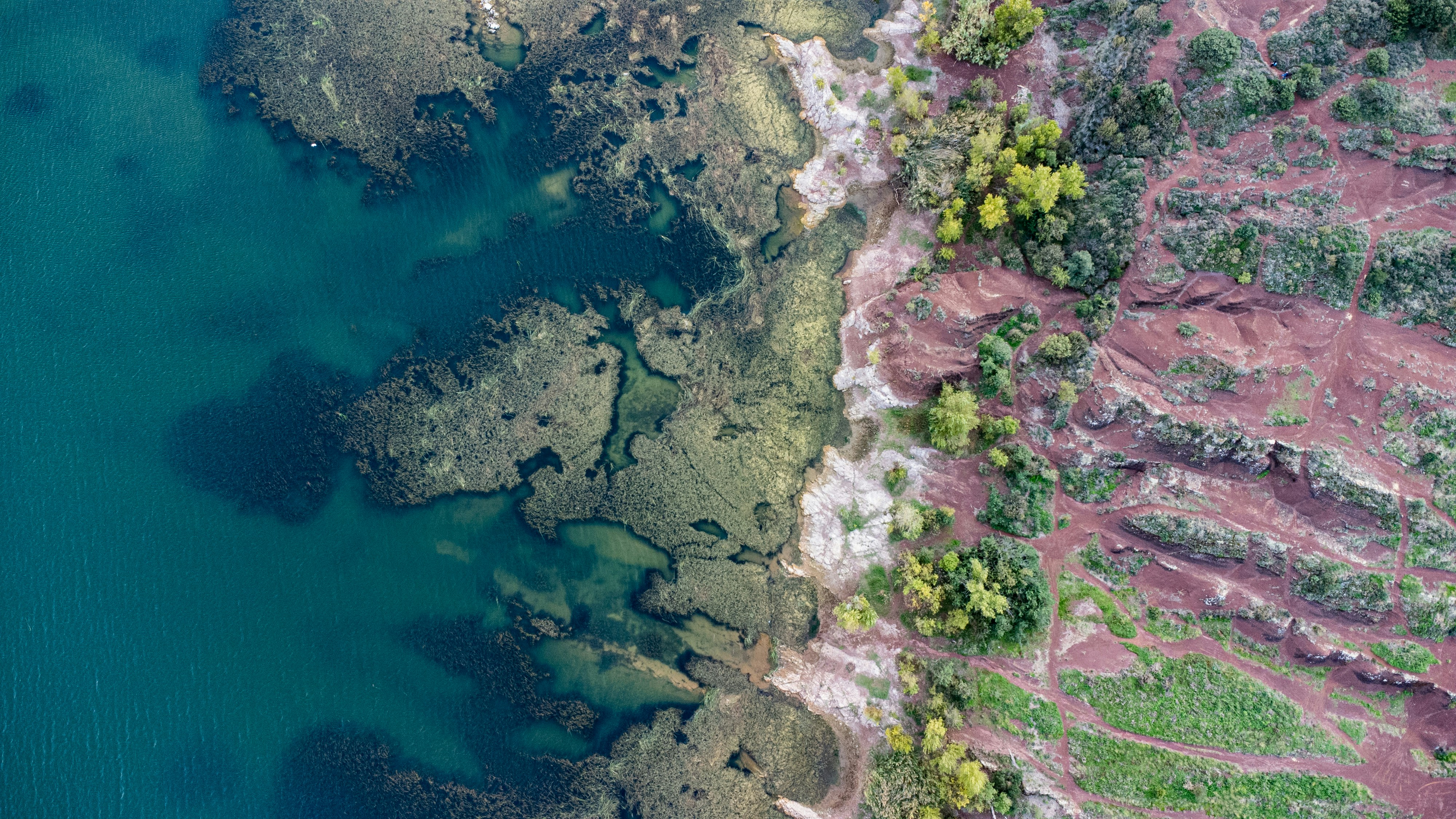 Revolutionizing Agriculture with Drones