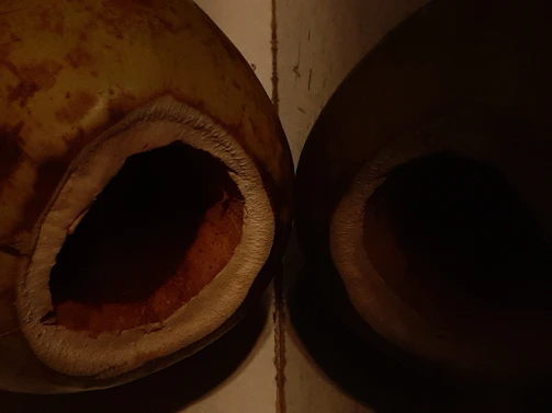 Innovative natural products made from coconut husk.