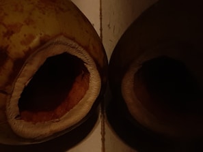 Two dried coconut shells lie on a surface with open hollow centers pointed outward. The lighting is dim, casting deep shadows within the shells and highlighting the textured surface and natural brown color of the coconut husks.
