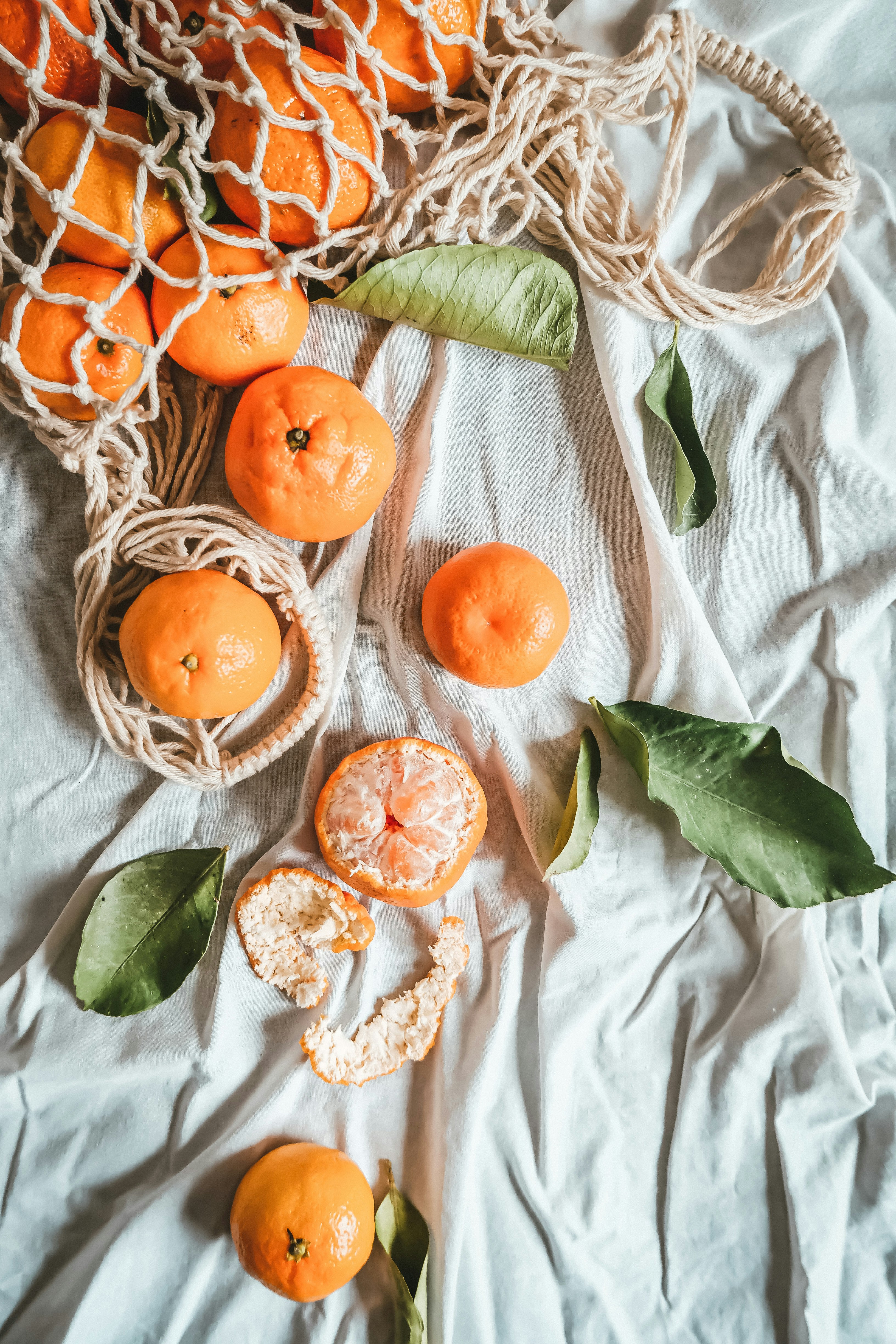 Exploring Theories: When Life Gives You Tangerines – Happy or Sad Ending?