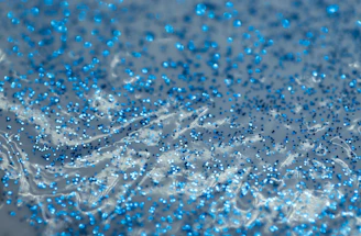 a close up of a spider