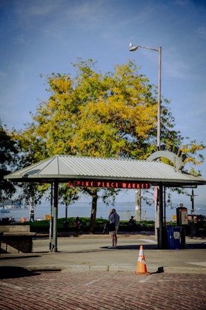 A street view features an entrance structure labeled 'Pike Place Market'. The foreground includes a traffic cone on a cobblestone pavement, while behind the structure, a person stands near a trash bin. Trees with green and yellow leaves provide a backdrop, and a lamppost with a bird on it stands tall. In the distance, the horizon of a body of water is visible.