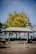 A street view features an entrance structure labeled 'Pike Place Market'. The foreground includes a traffic cone on a cobblestone pavement, while behind the structure, a person stands near a trash bin. Trees with green and yellow leaves provide a backdrop, and a lamppost with a bird on it stands tall. In the distance, the horizon of a body of water is visible.