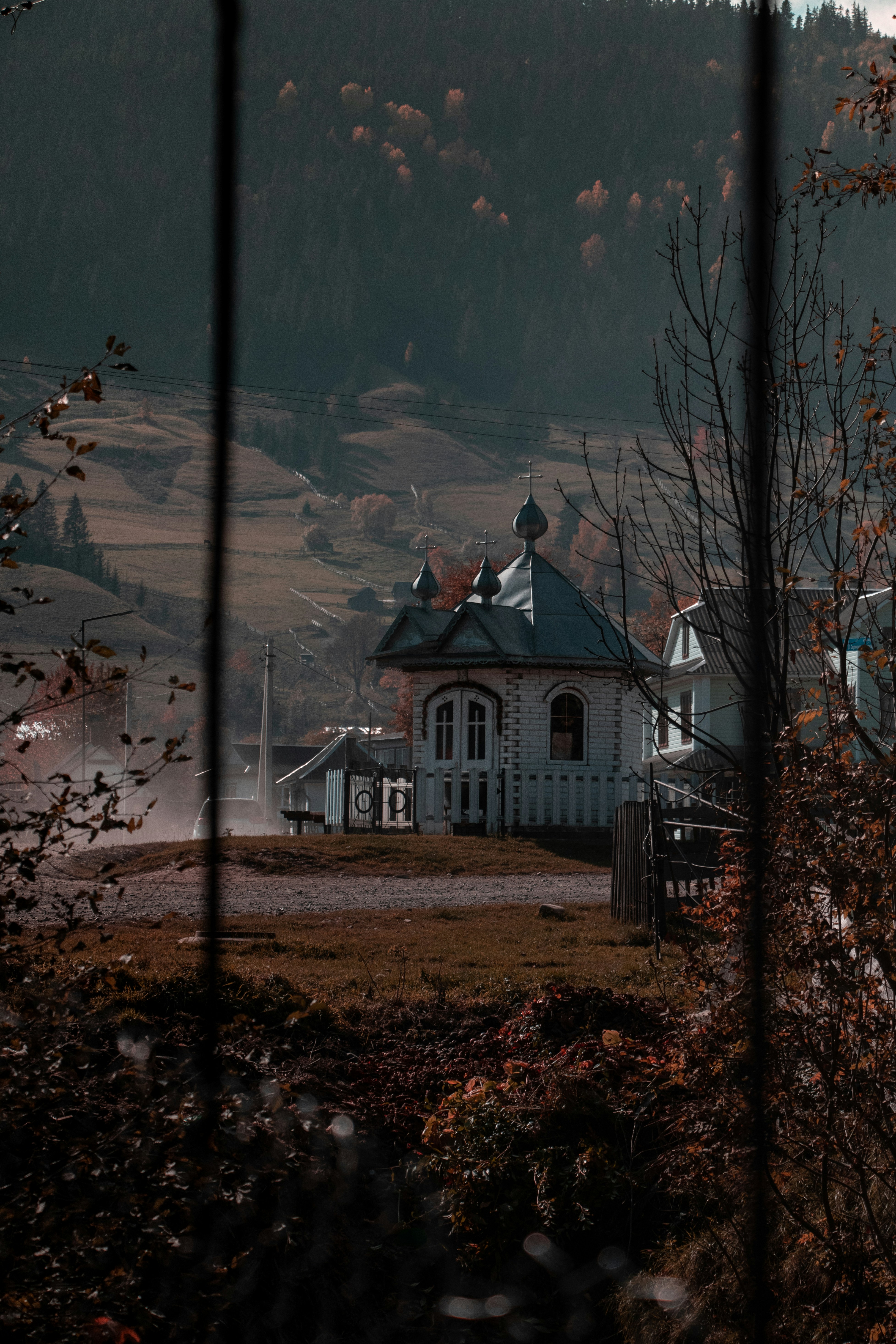 Photo by opiekhov