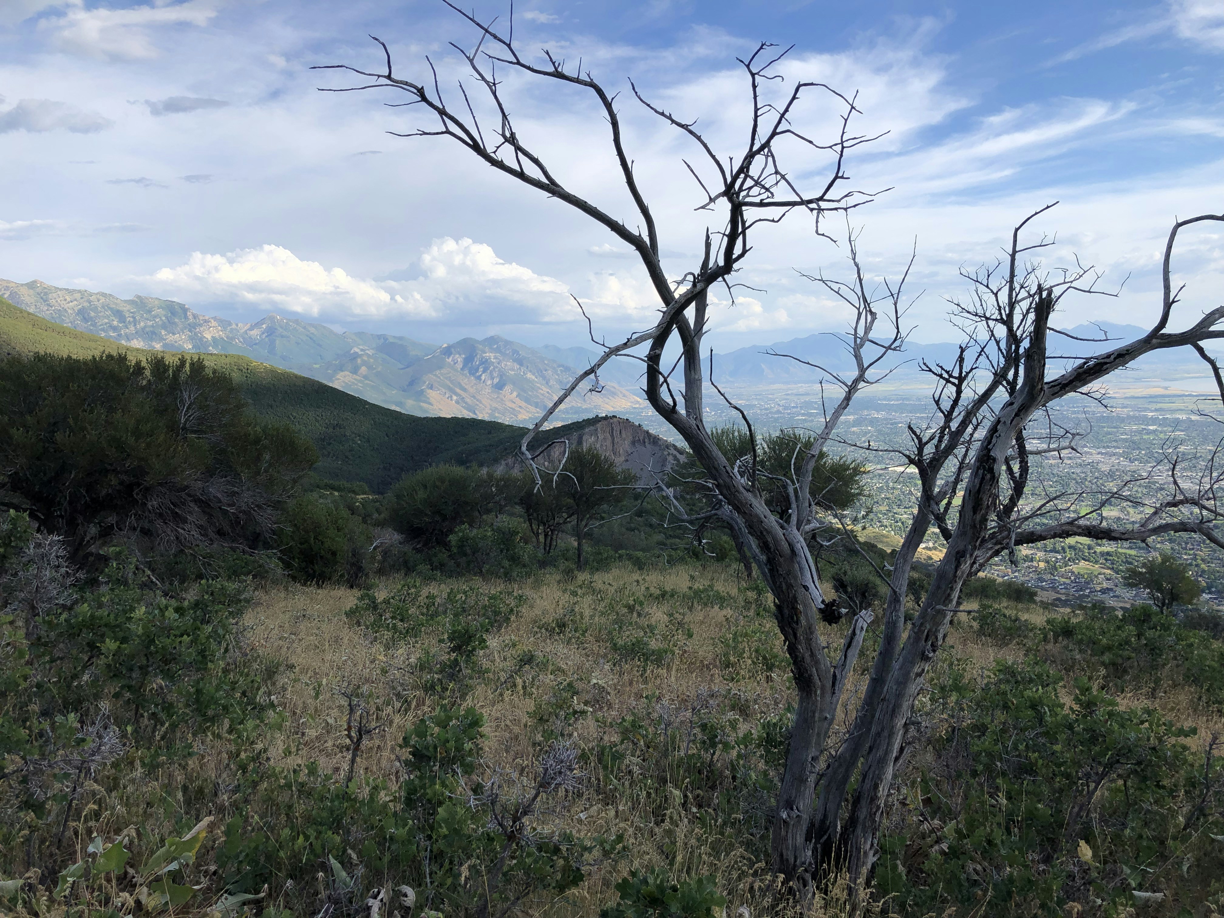 Photo by tyler_mower