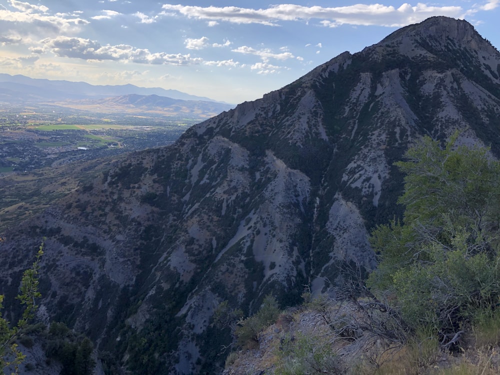 a mountain with trees and bushes