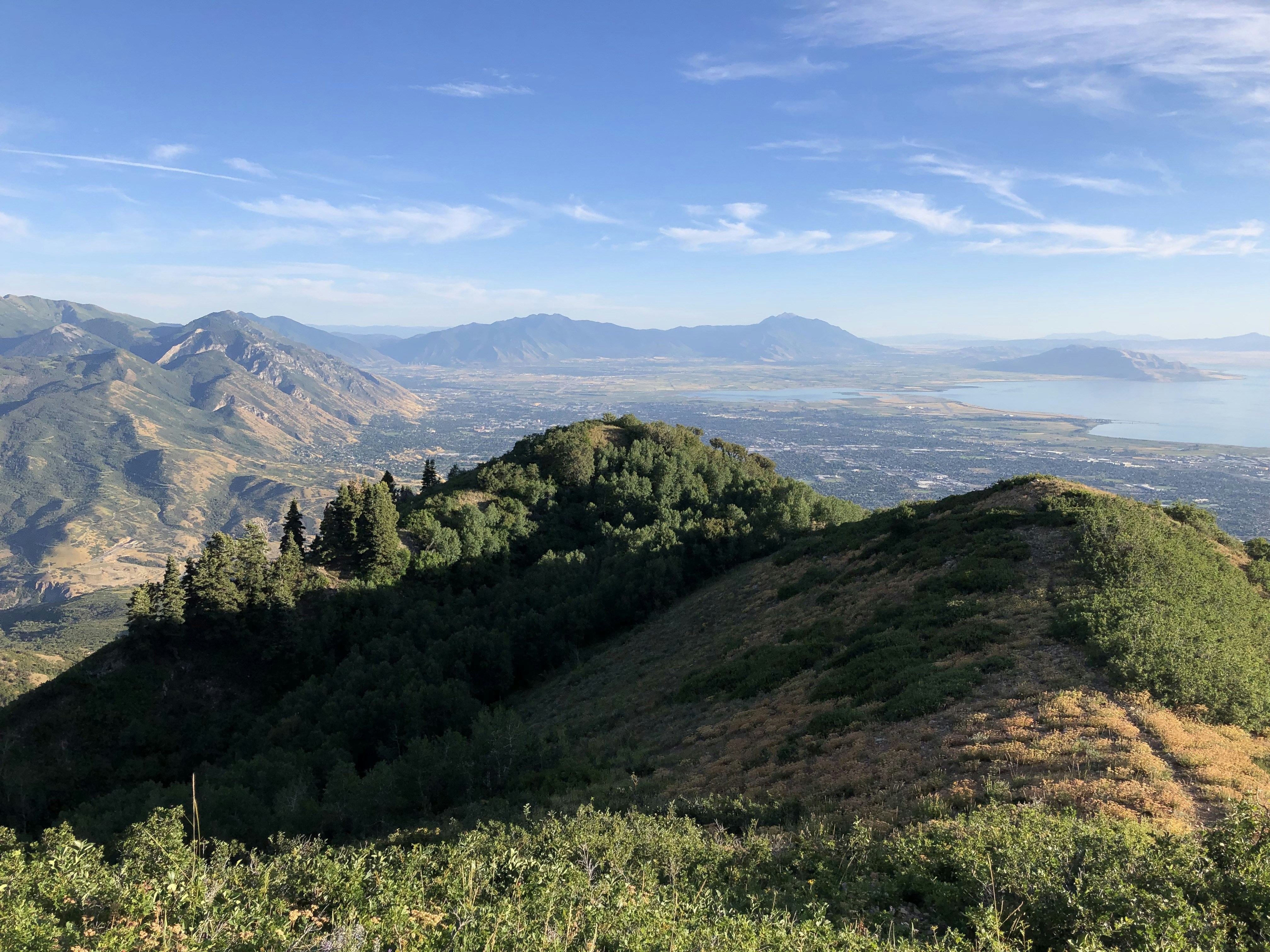 Photo by tyler_mower