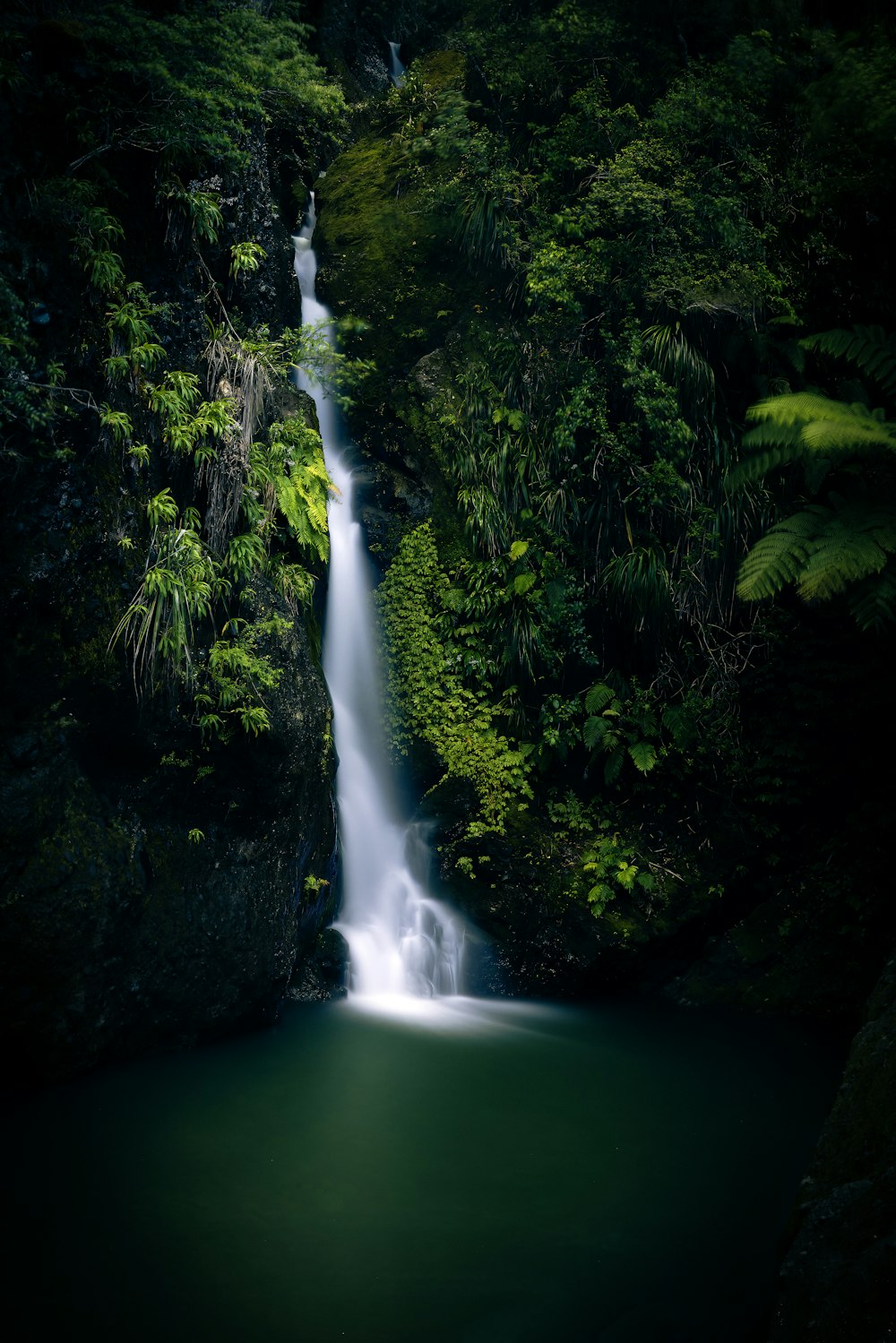 a waterfall in a forest