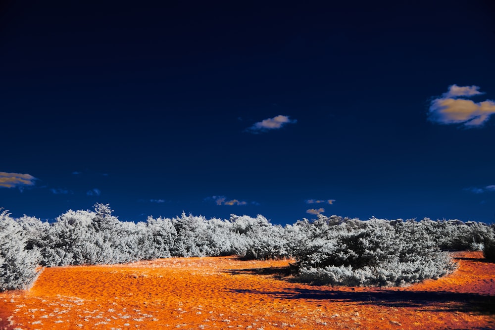 a landscape with snow