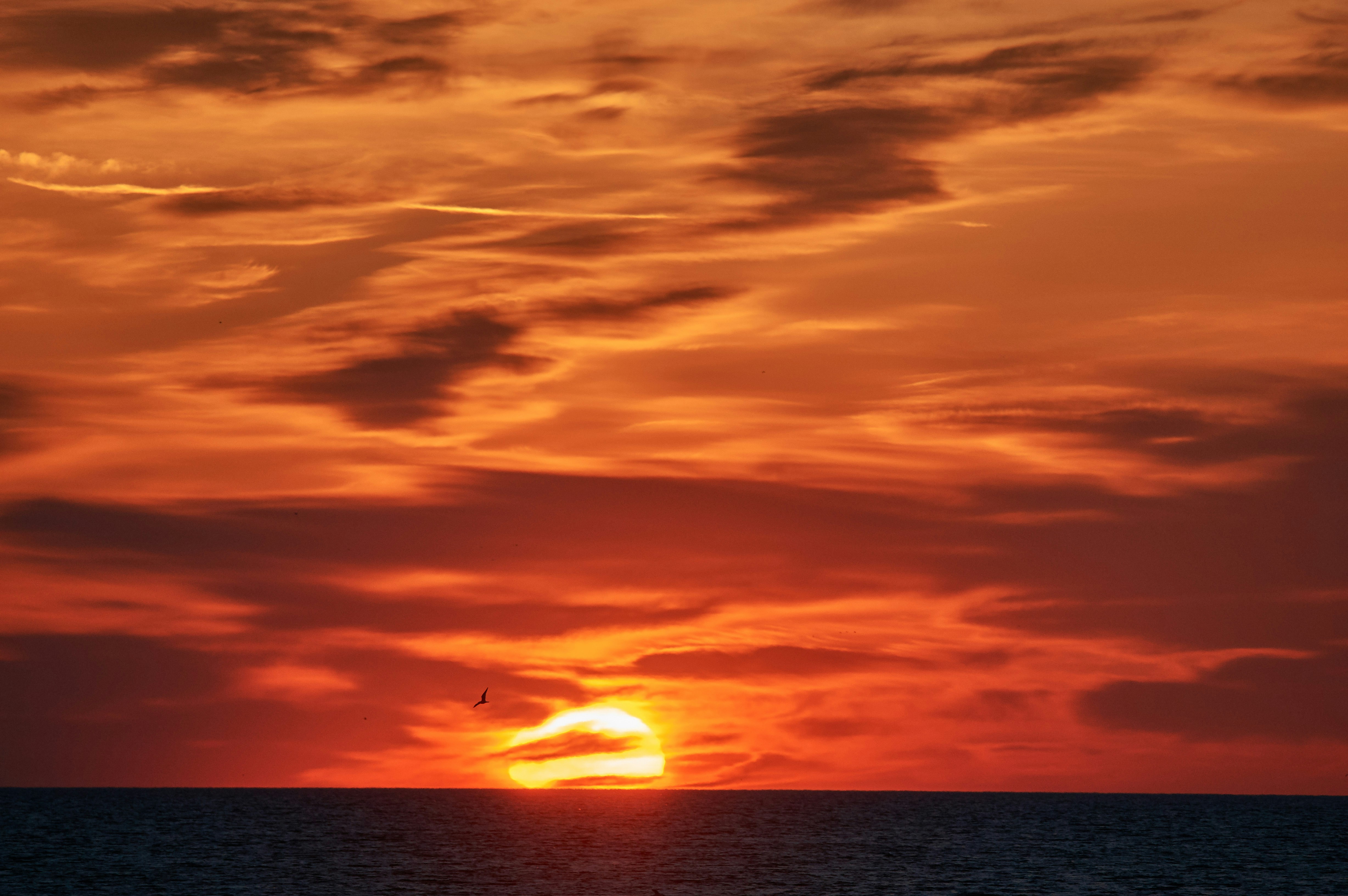 Photo by wolfgang_hasselmann