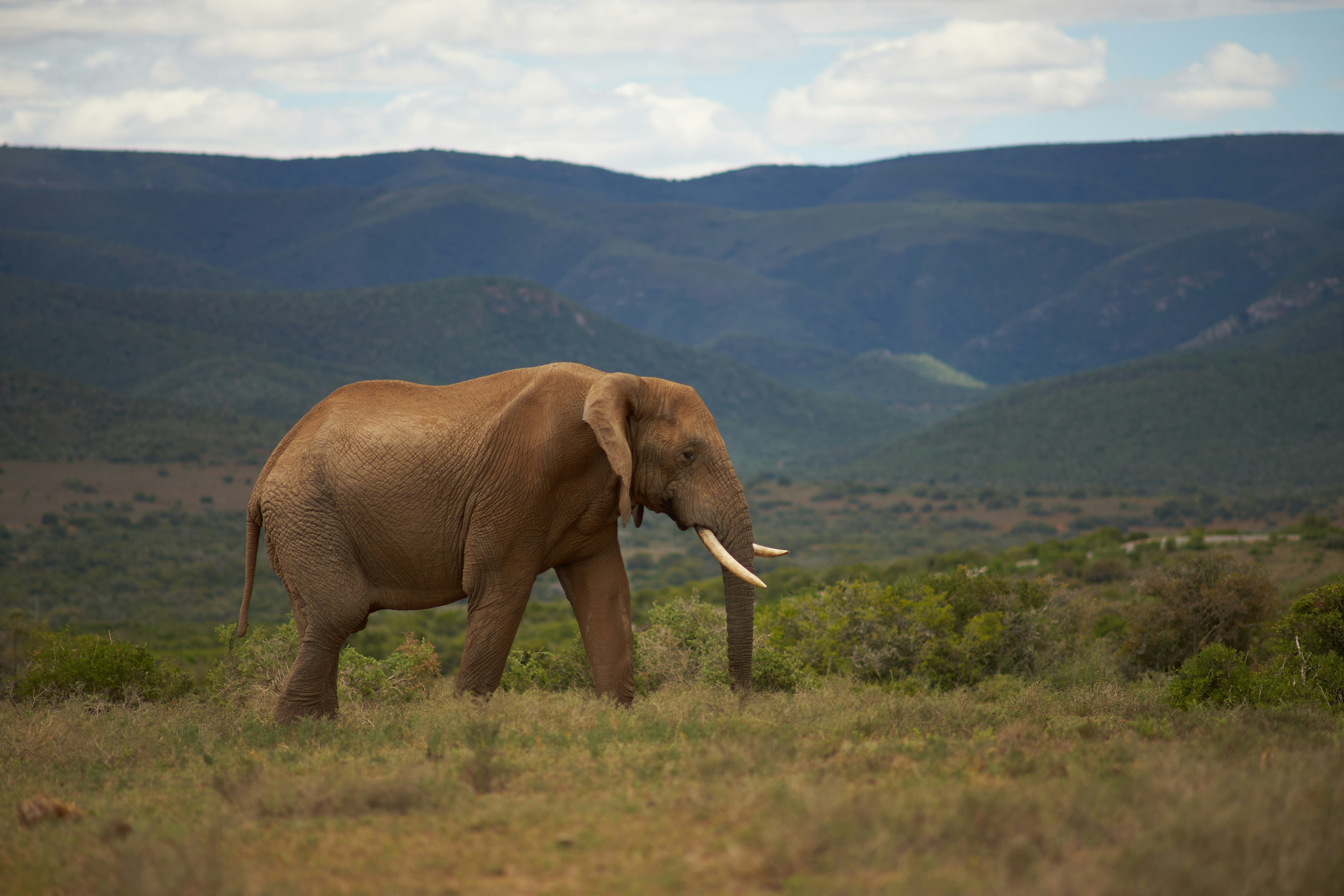 Photo by wolfgang_hasselmann