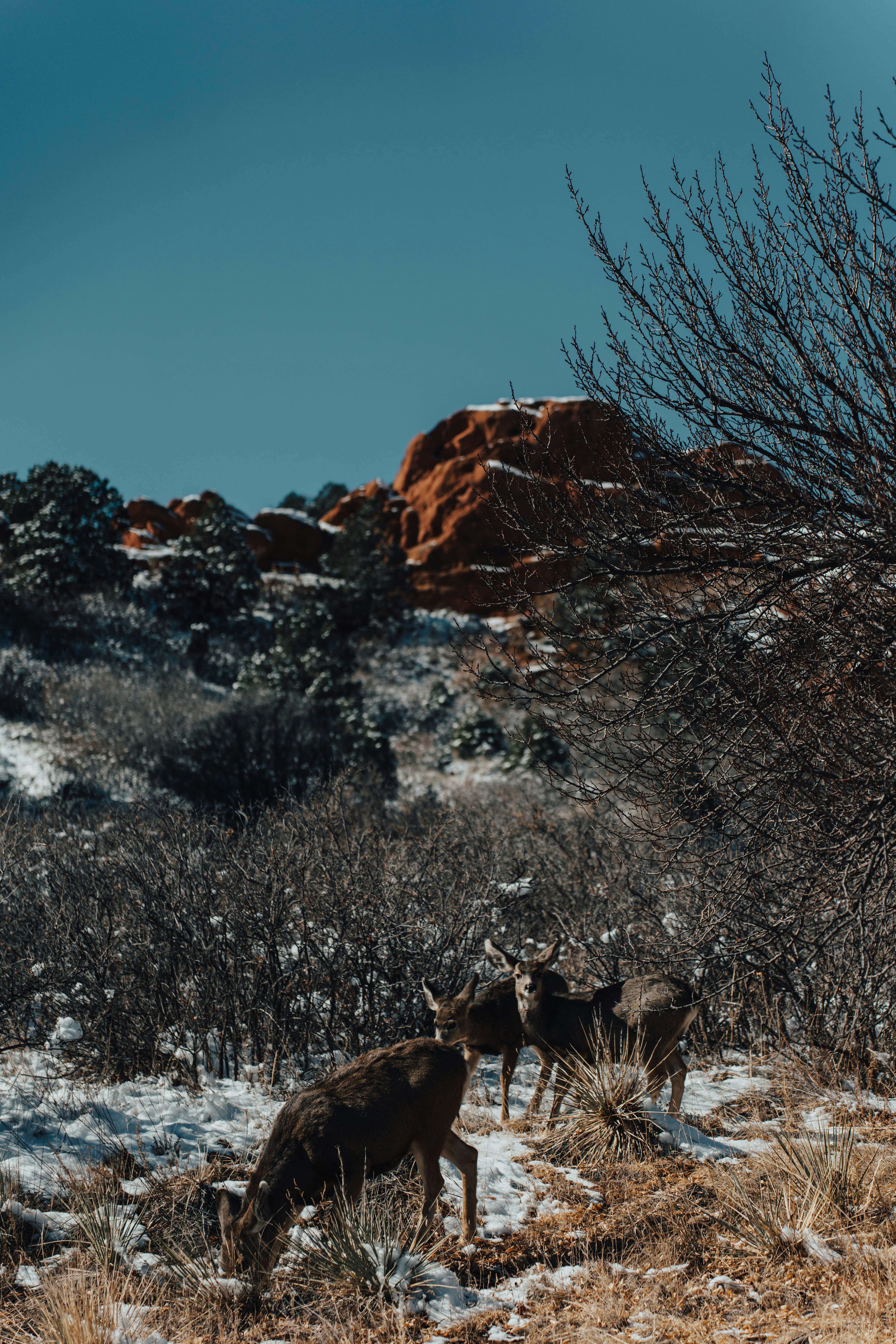Photo by jasonhostetler_