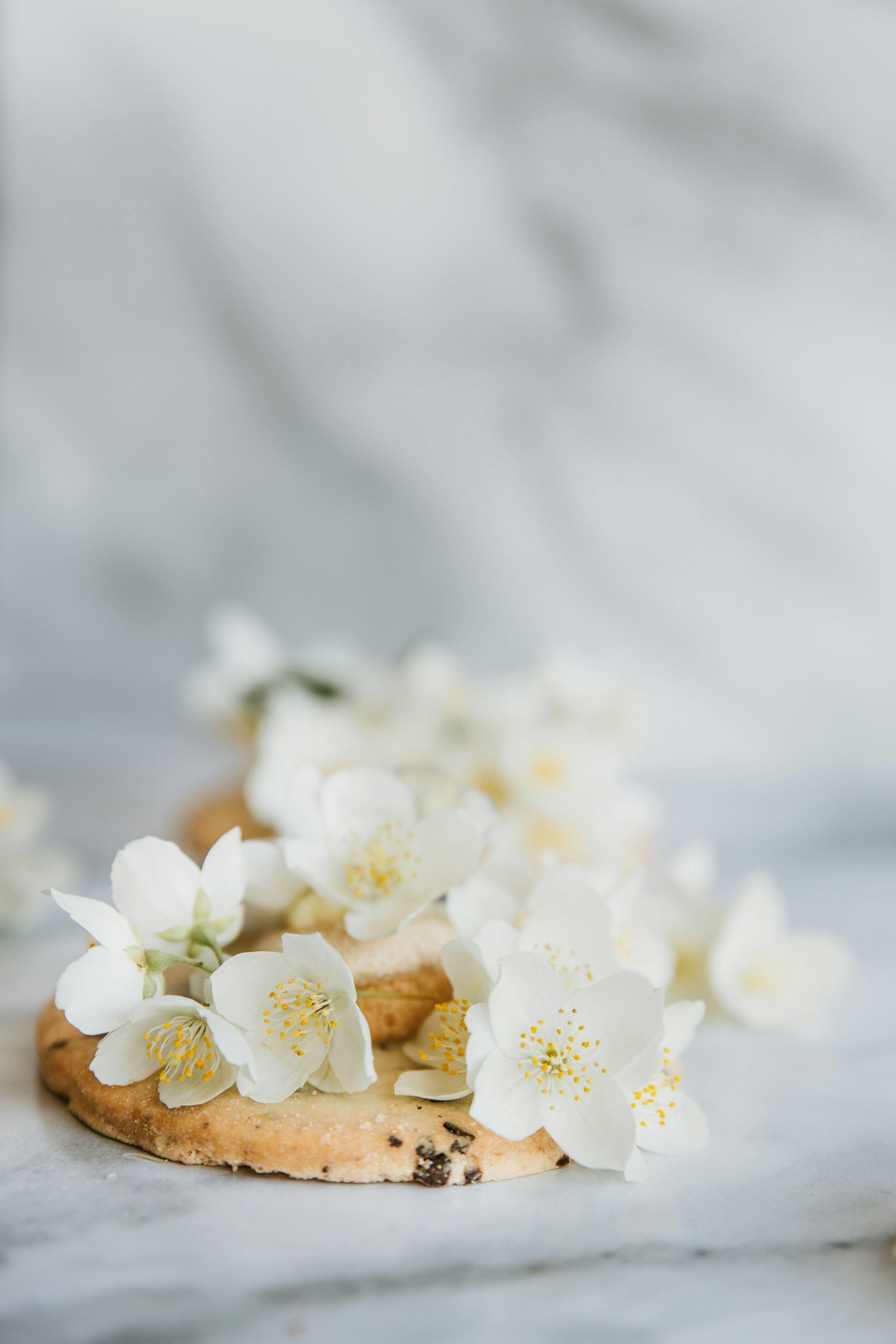 Photo by anitaaustvika