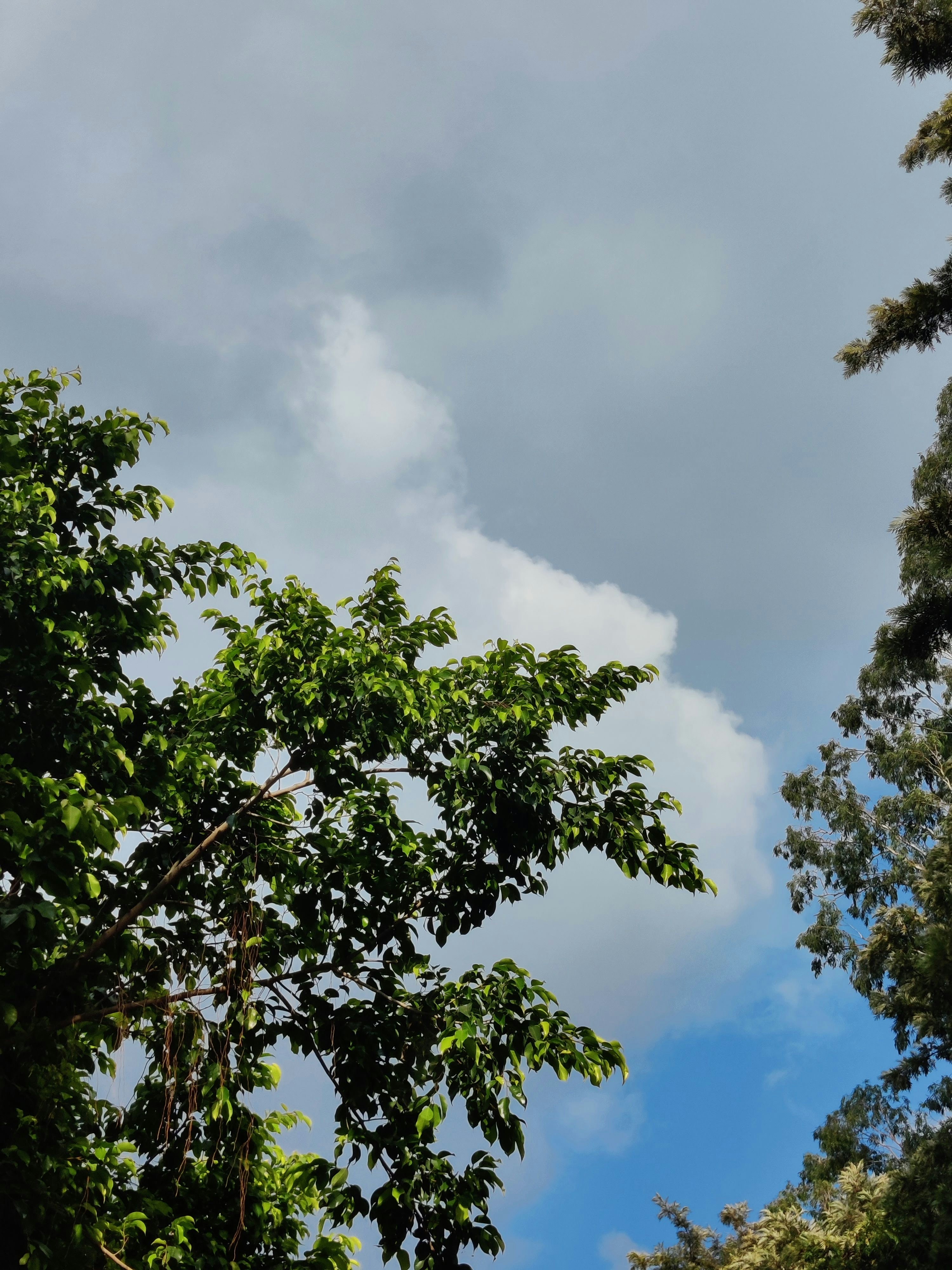 Photo by sherrysingh