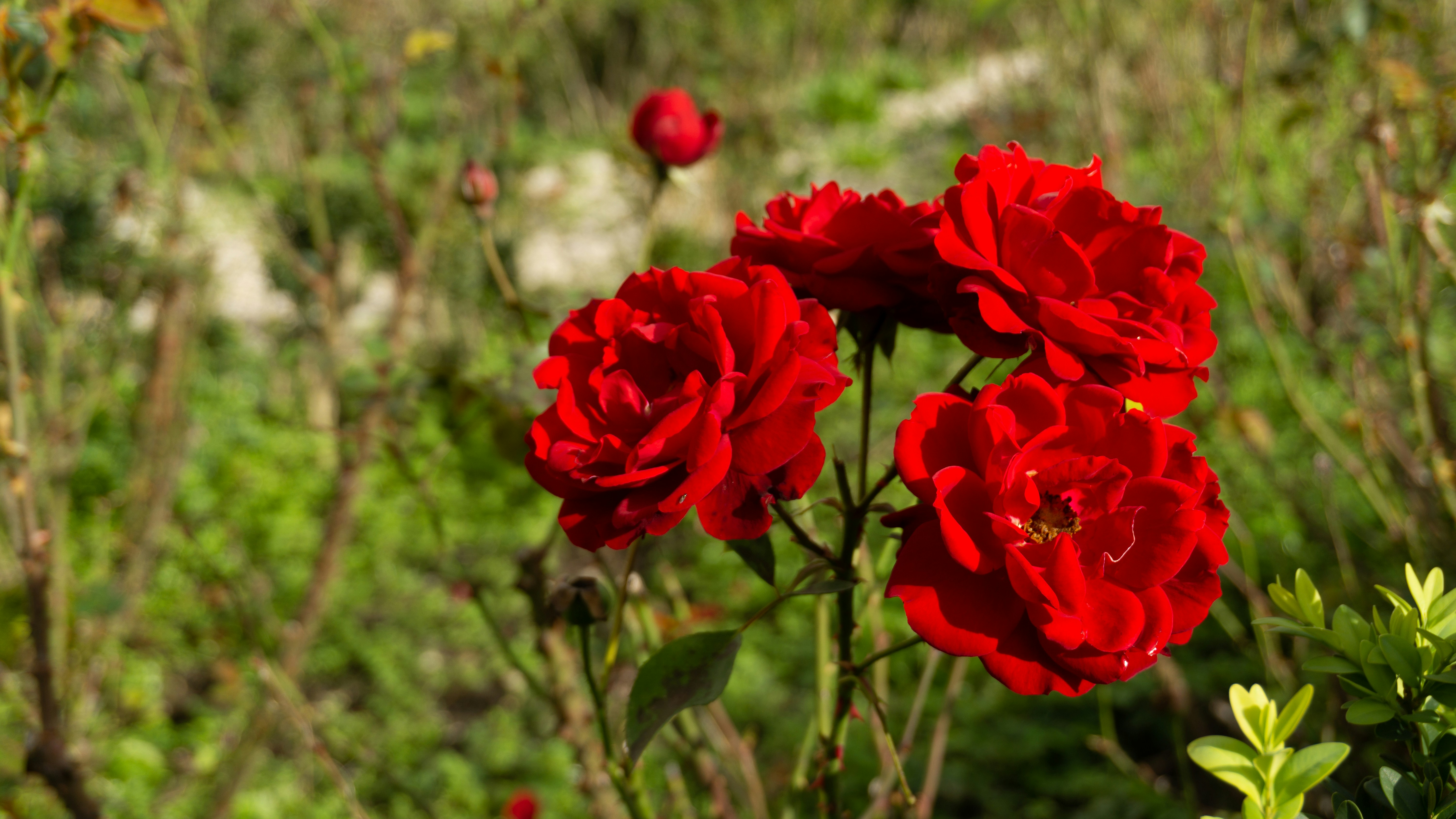 Photo by altro_design