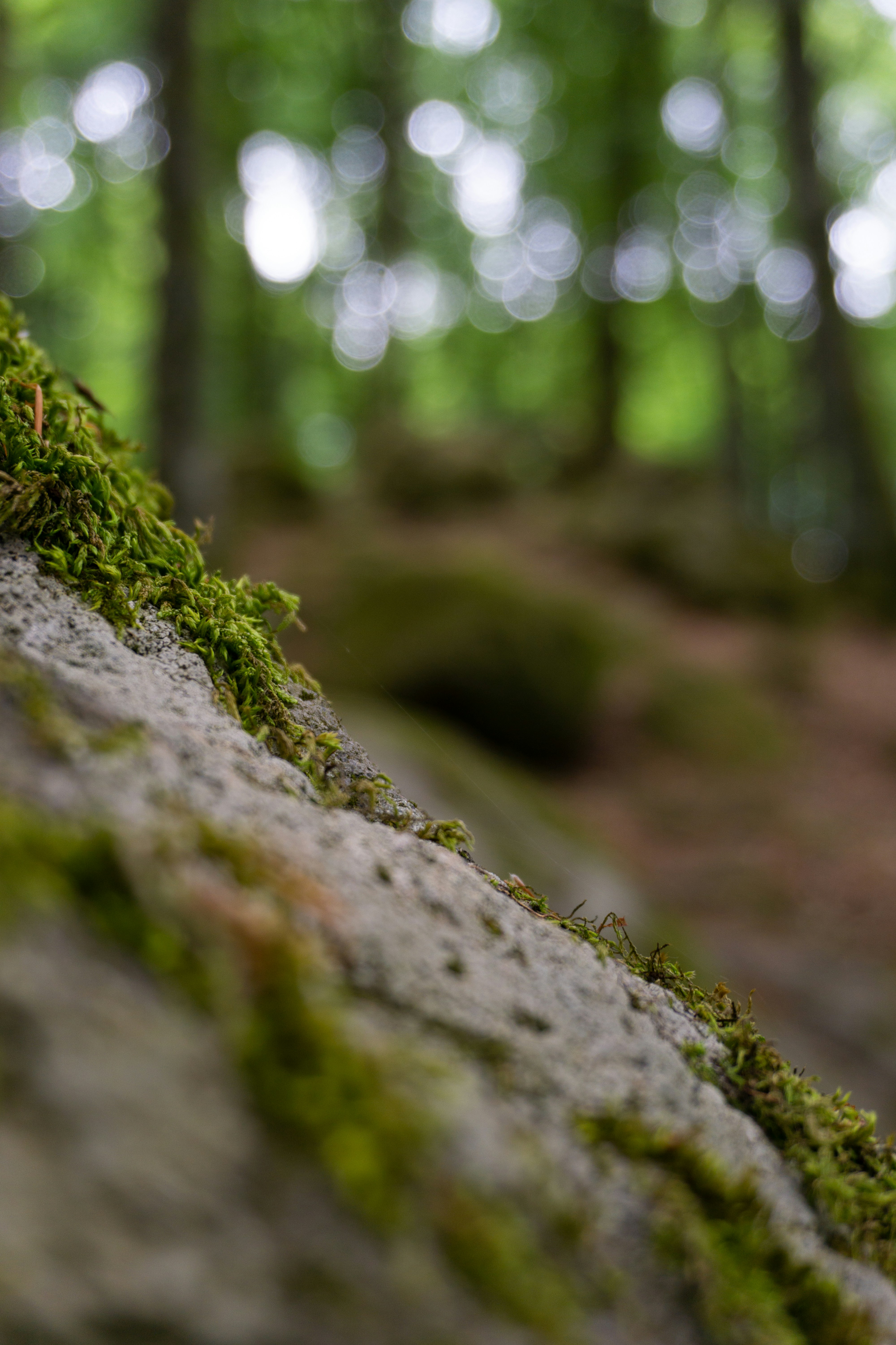 Photo by altro_design