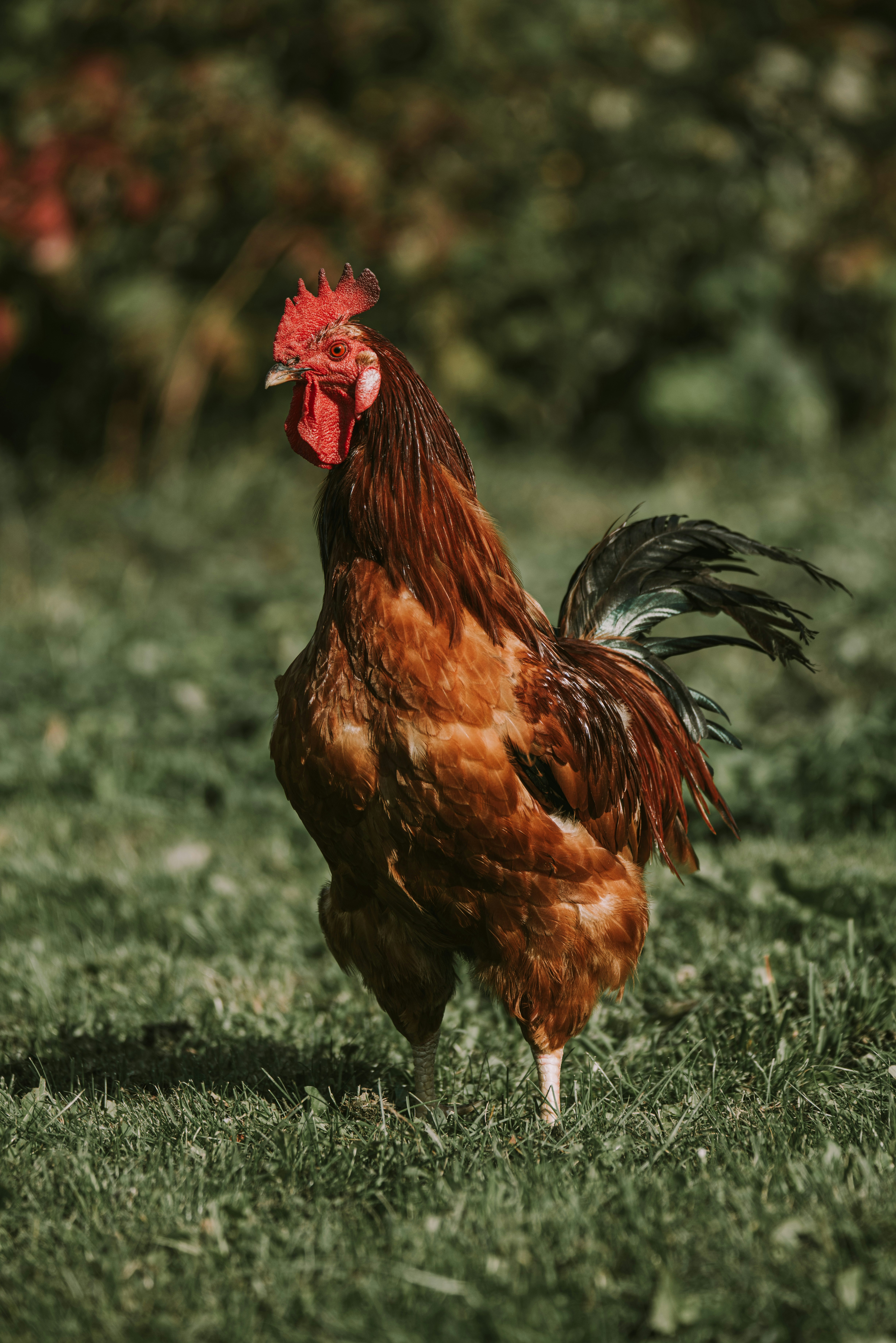 Photo by anitaaustvika