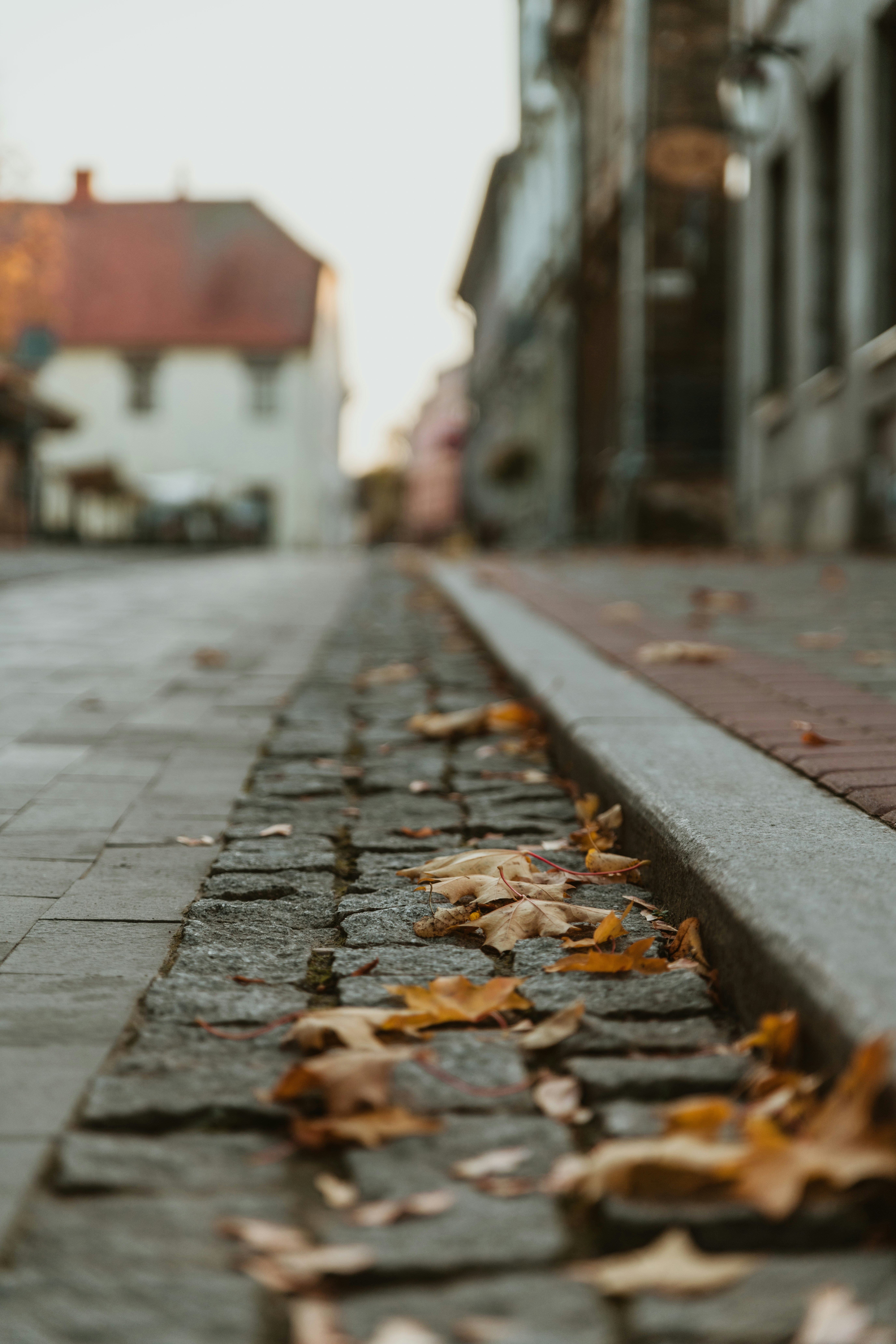 Photo by anitaaustvika