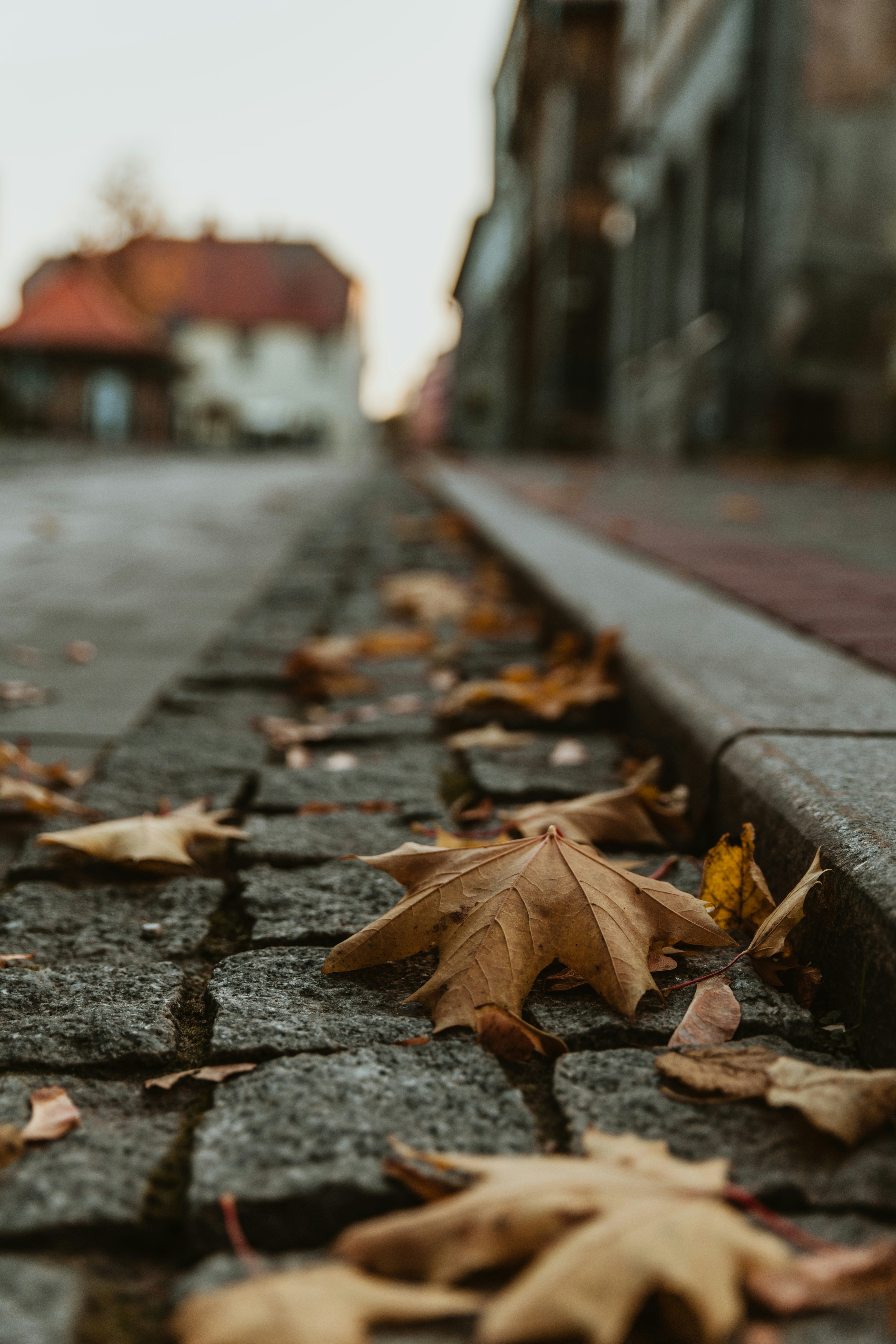 Photo by anitaaustvika