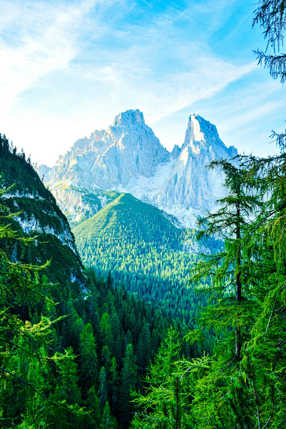 a mountain range with trees