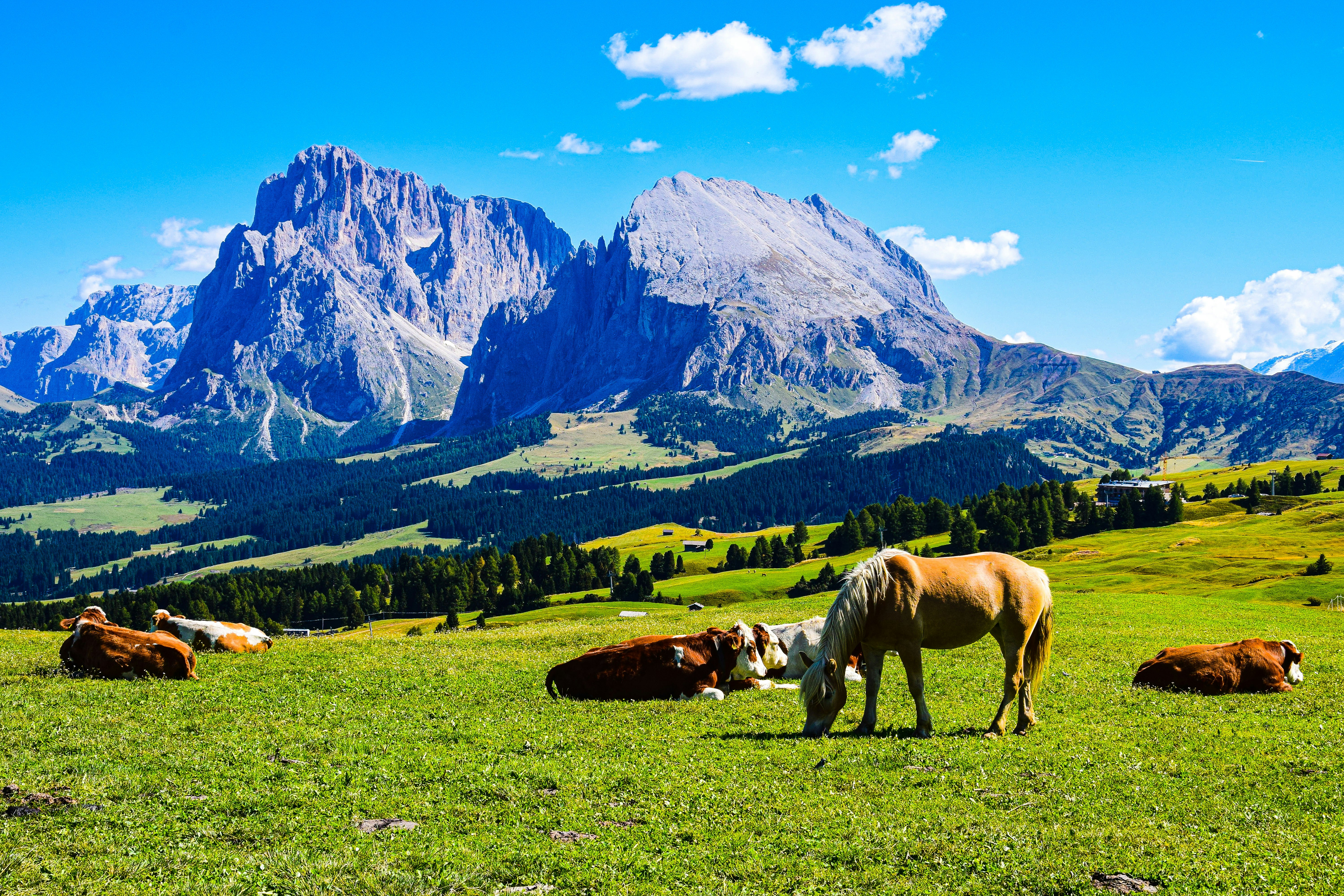 Dolomites, Italy.