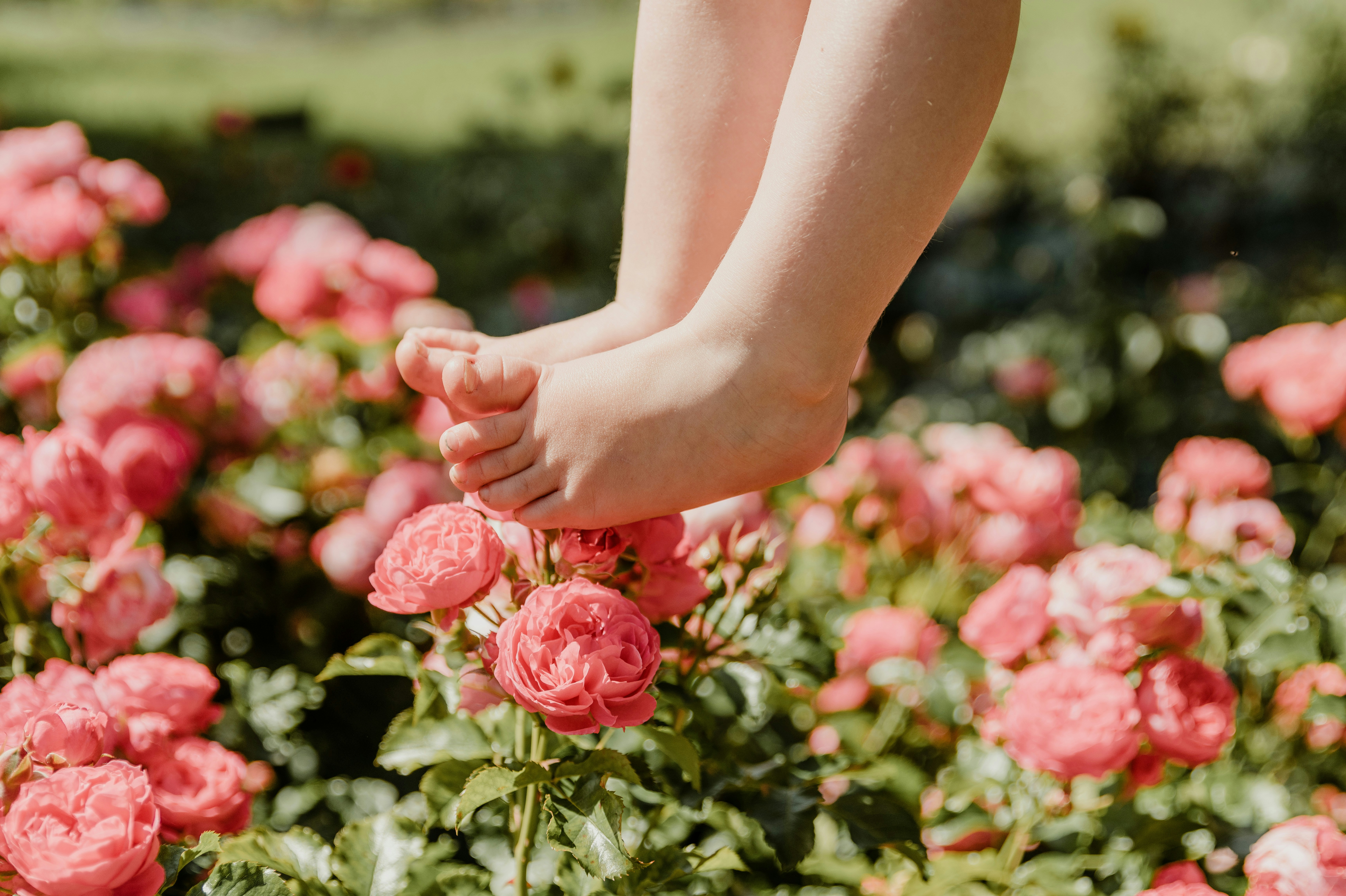 Photo by anitaaustvika